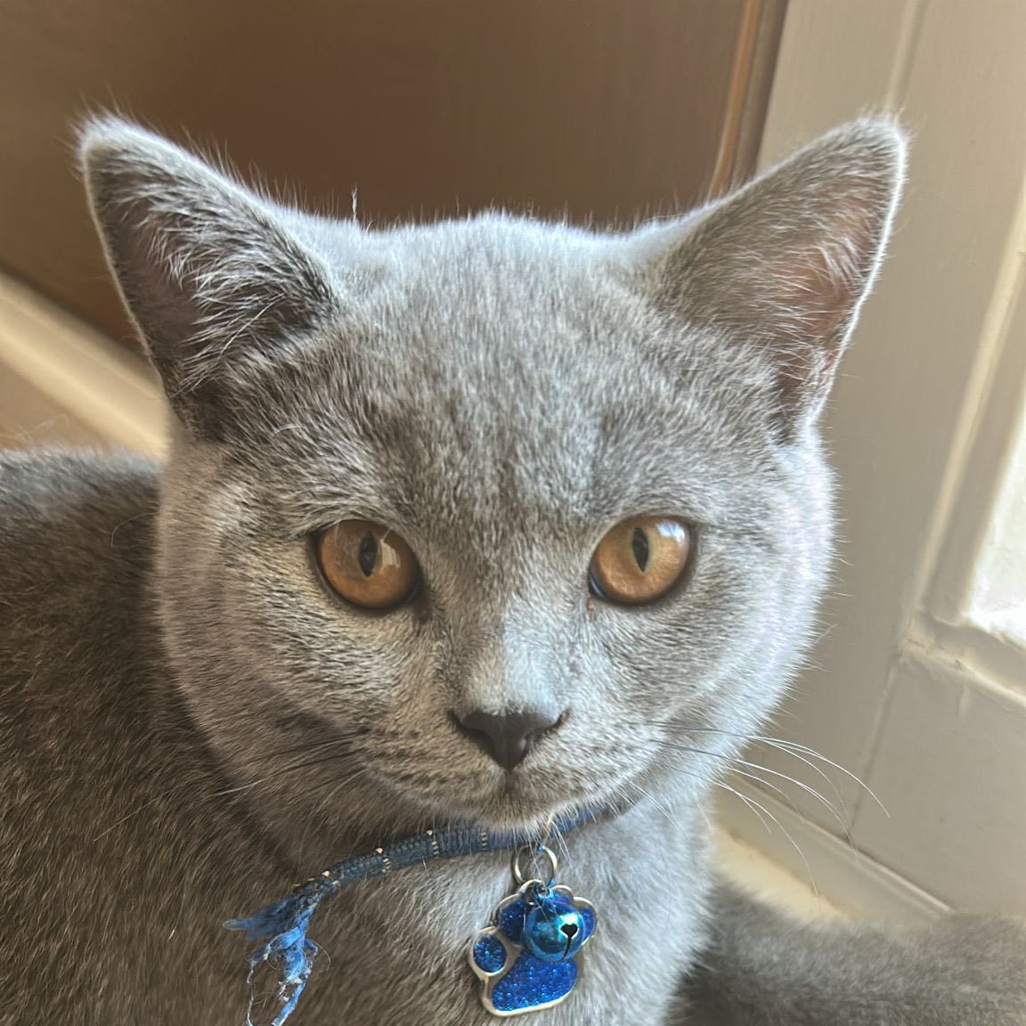 Button