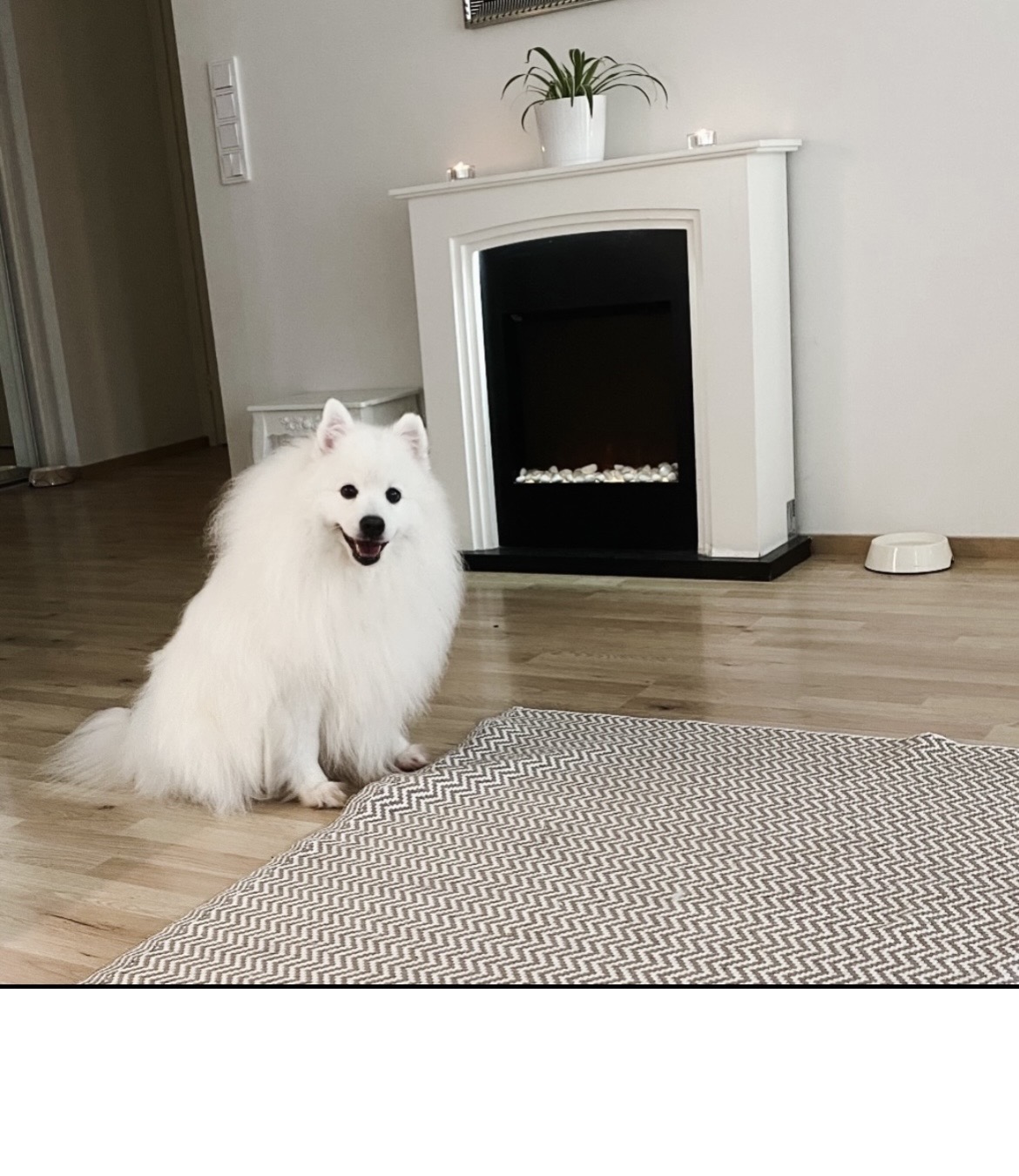 image-17