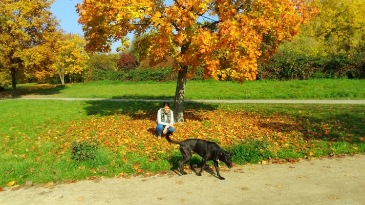 image-0