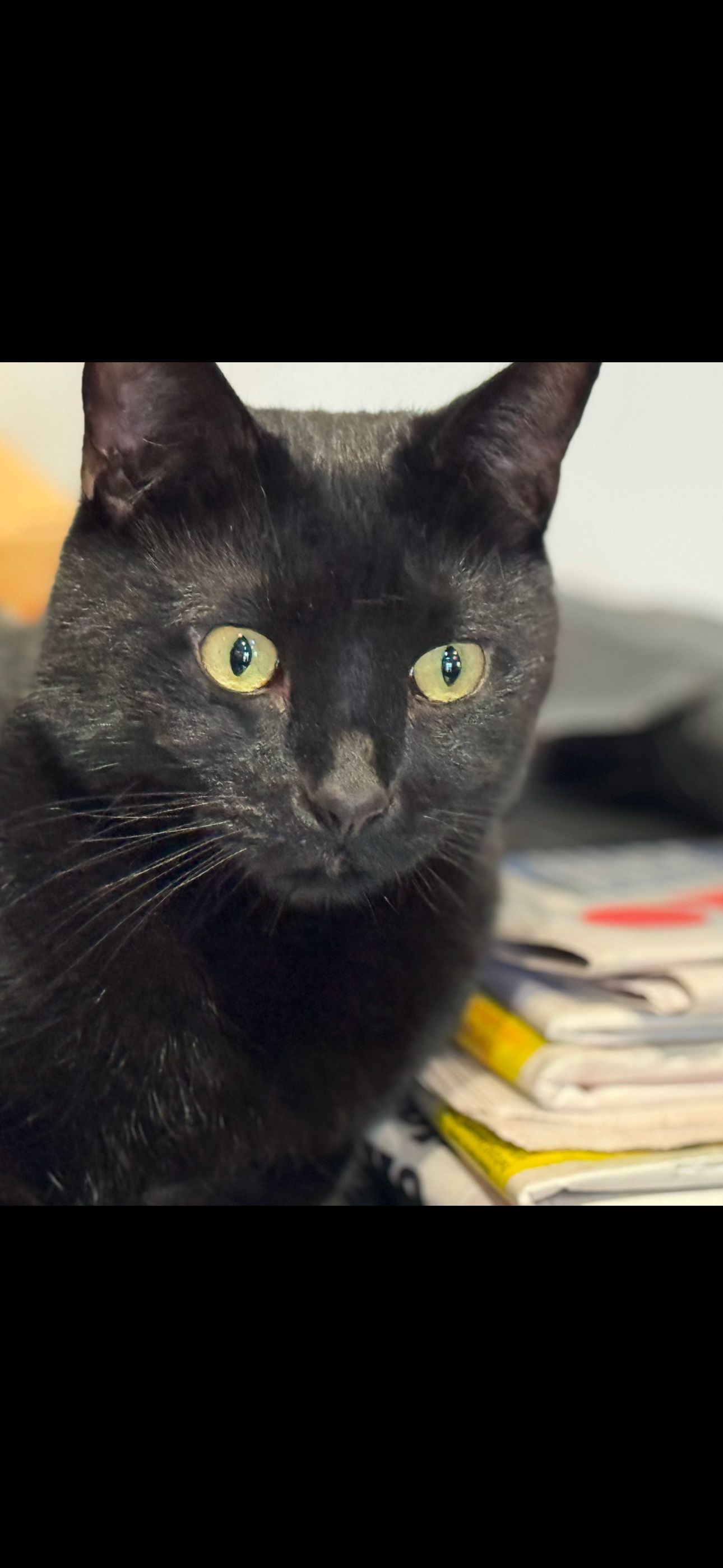 image-0