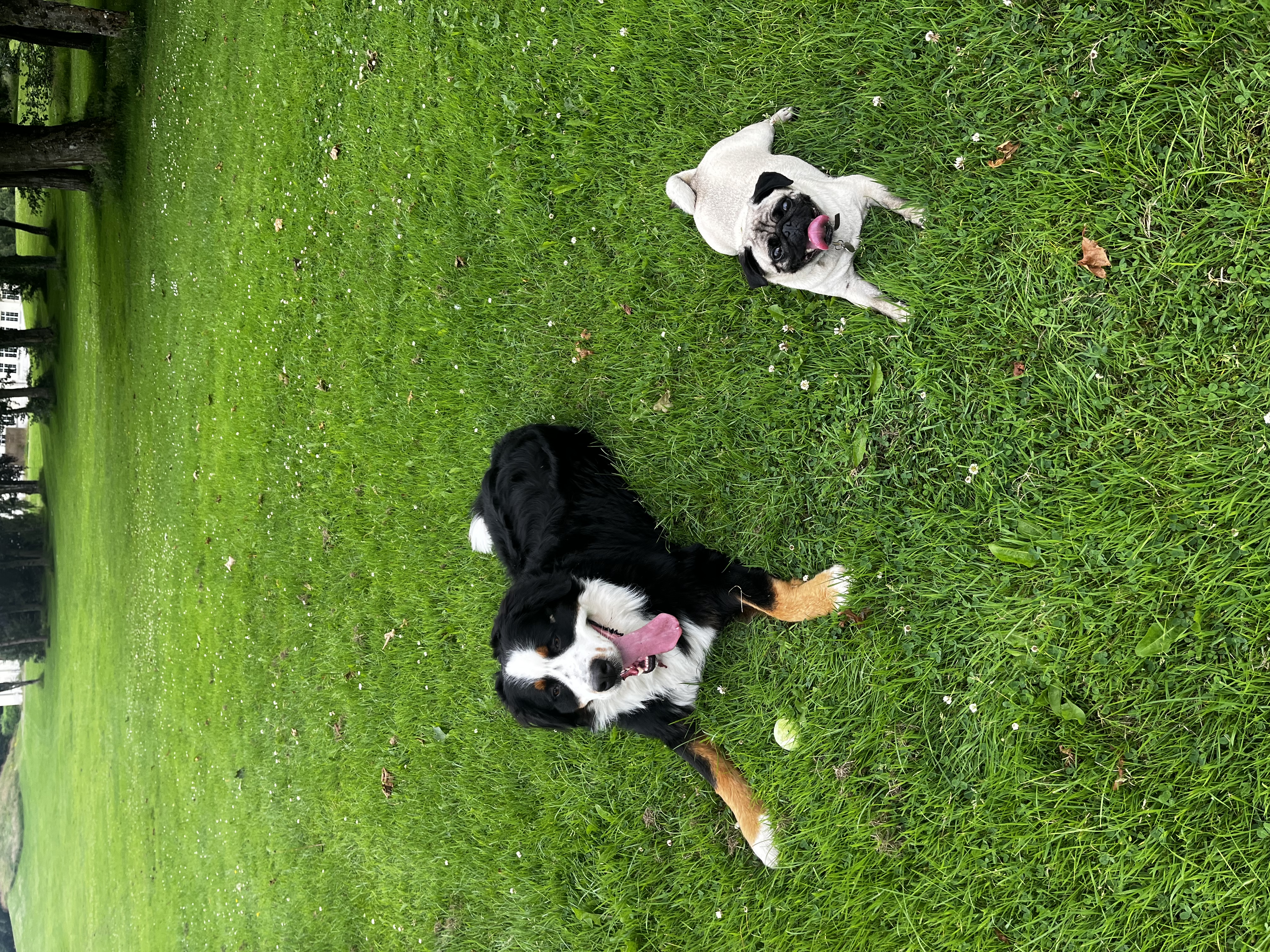 image-8