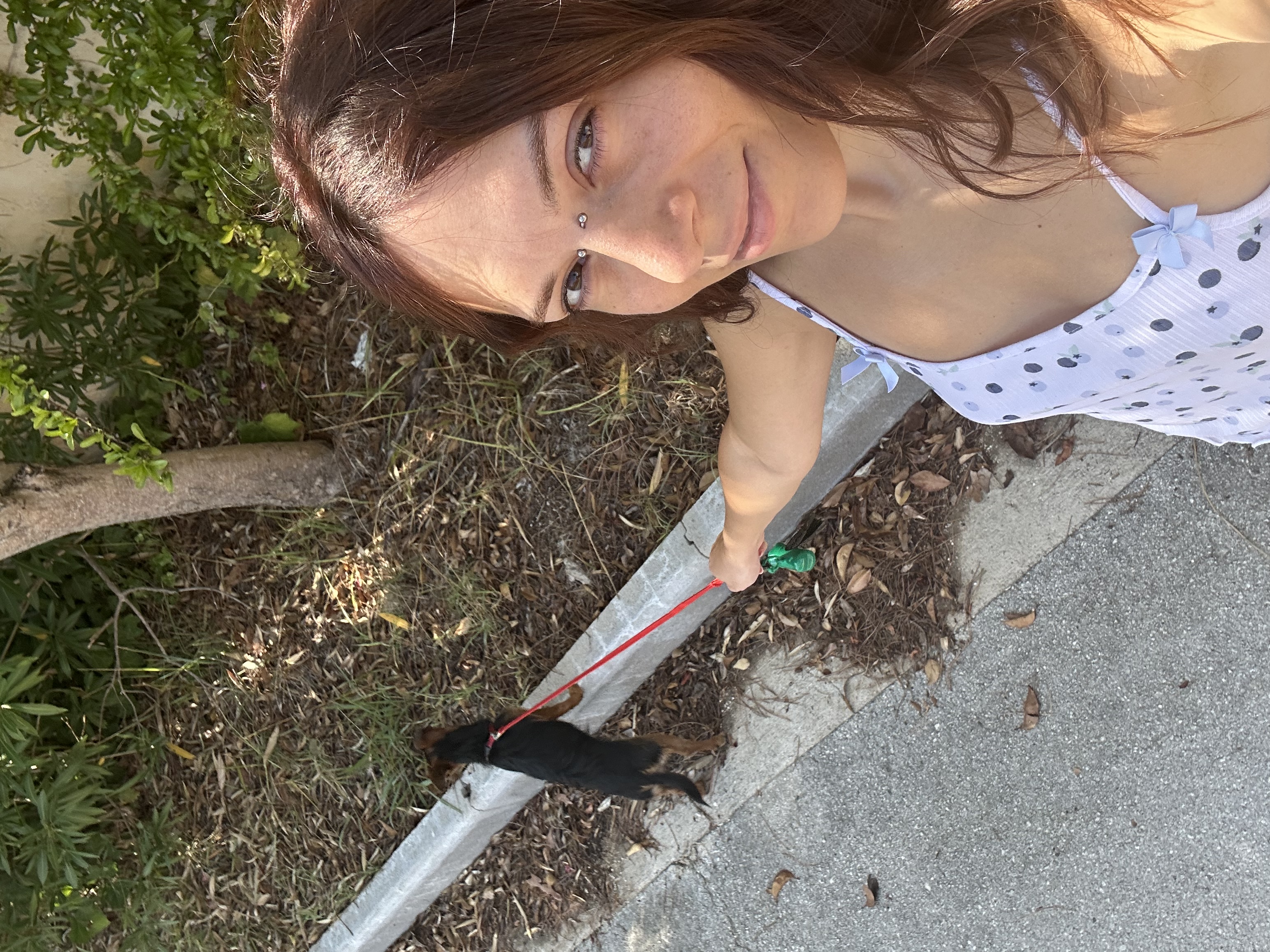image-14