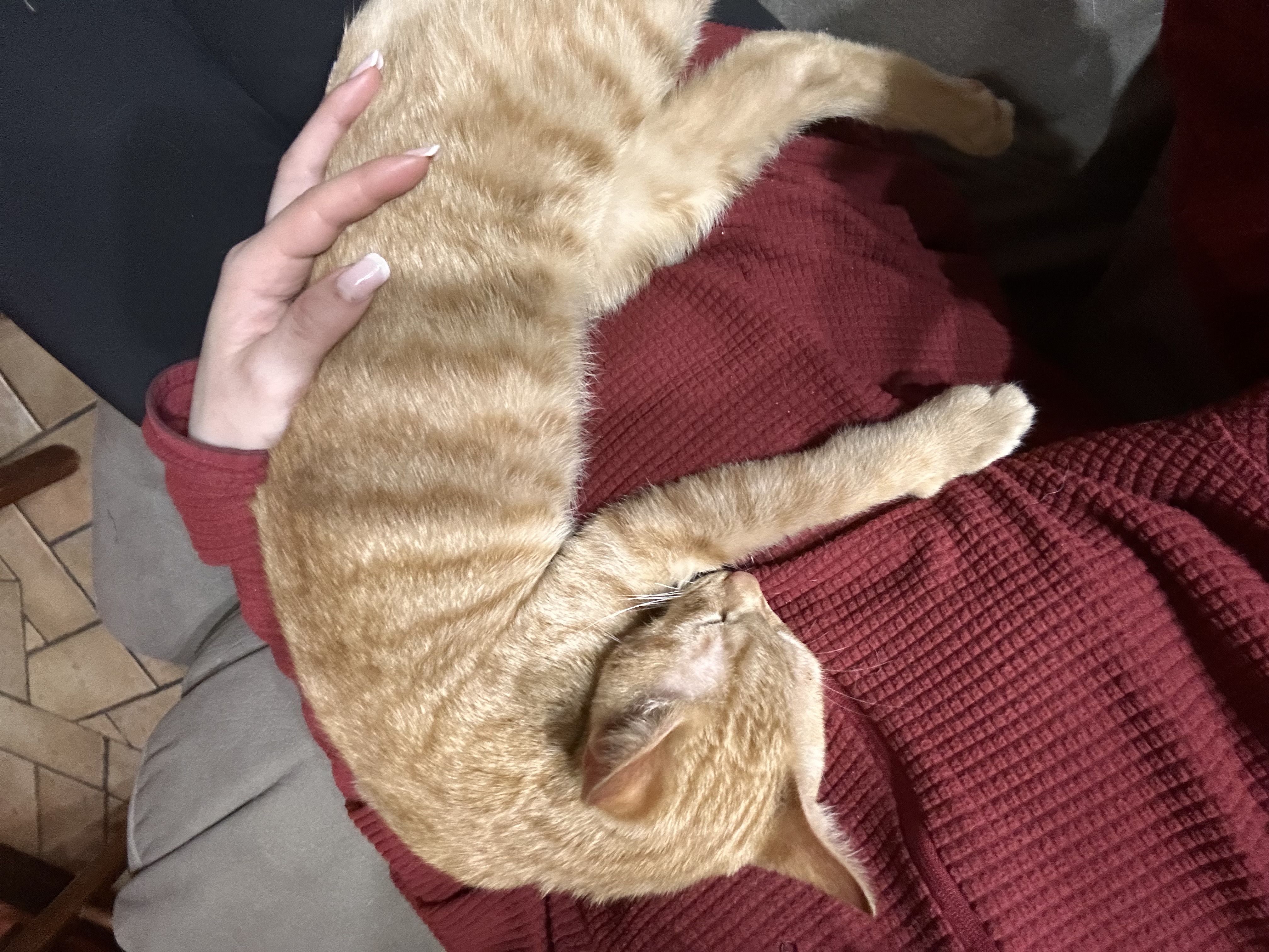 image-6