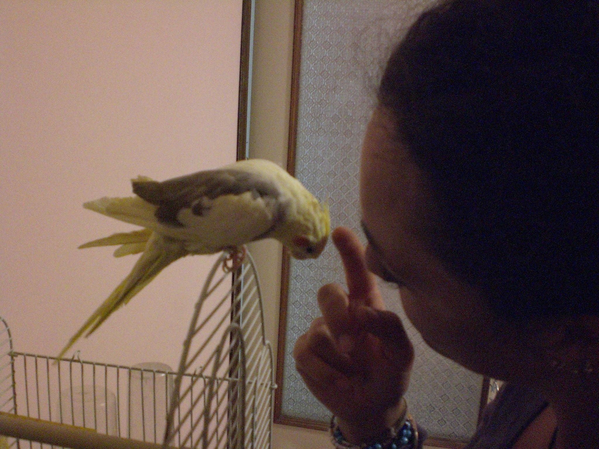 image-0