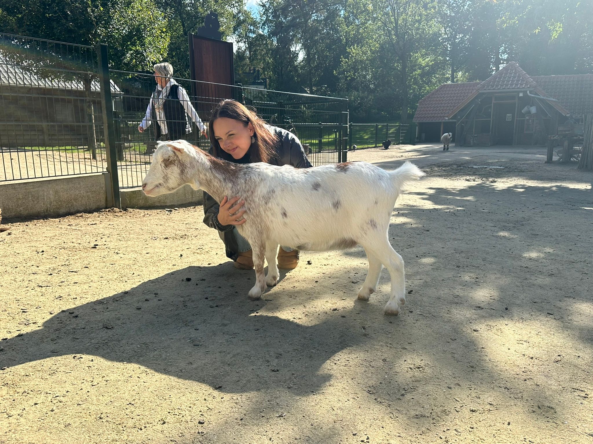 image-9