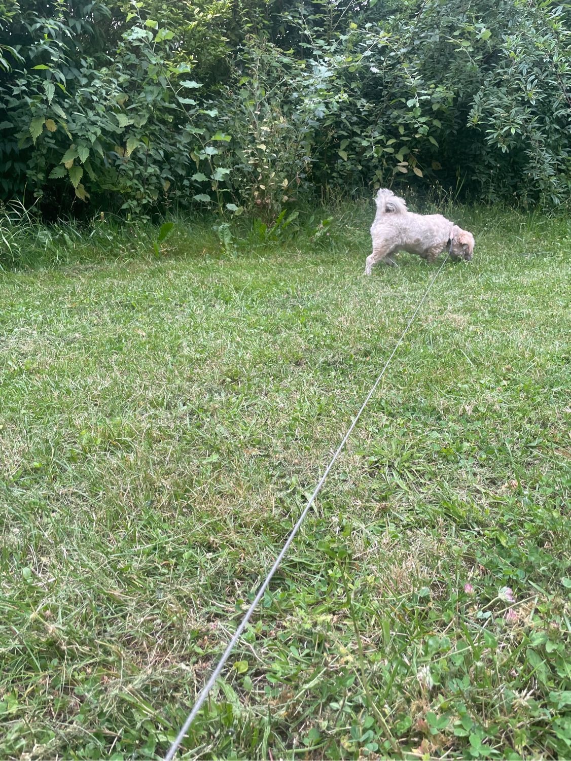 image-7
