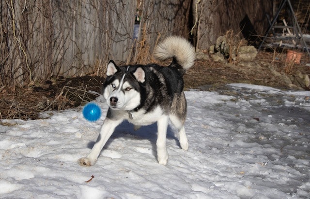 image-7
