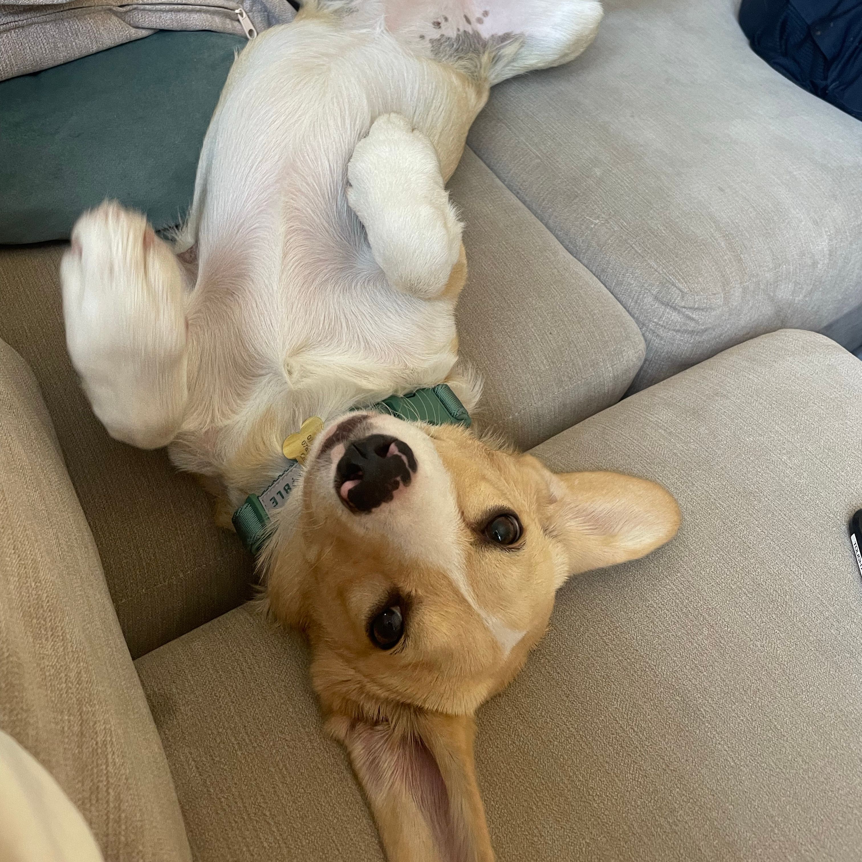Honey