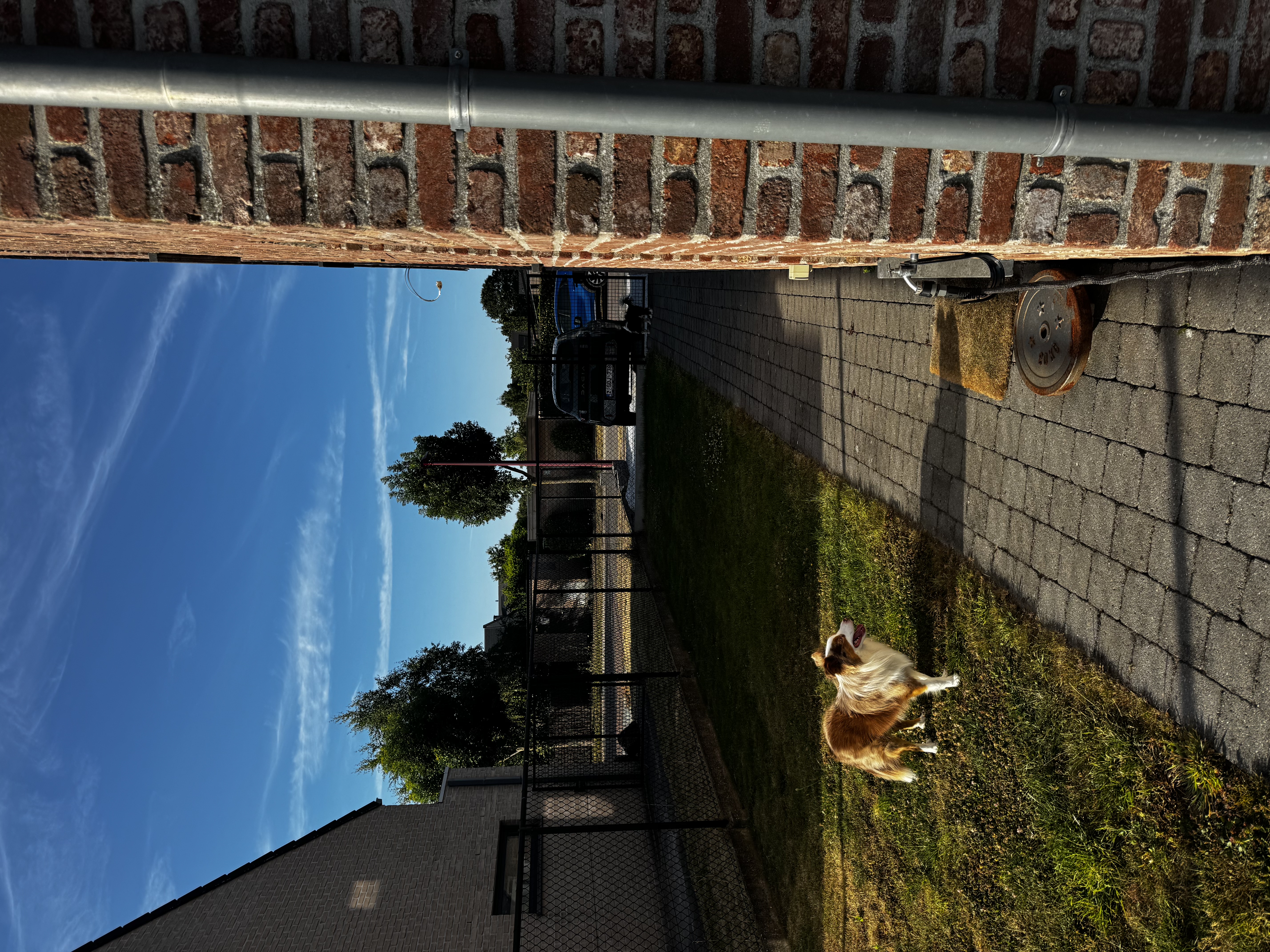 image-13
