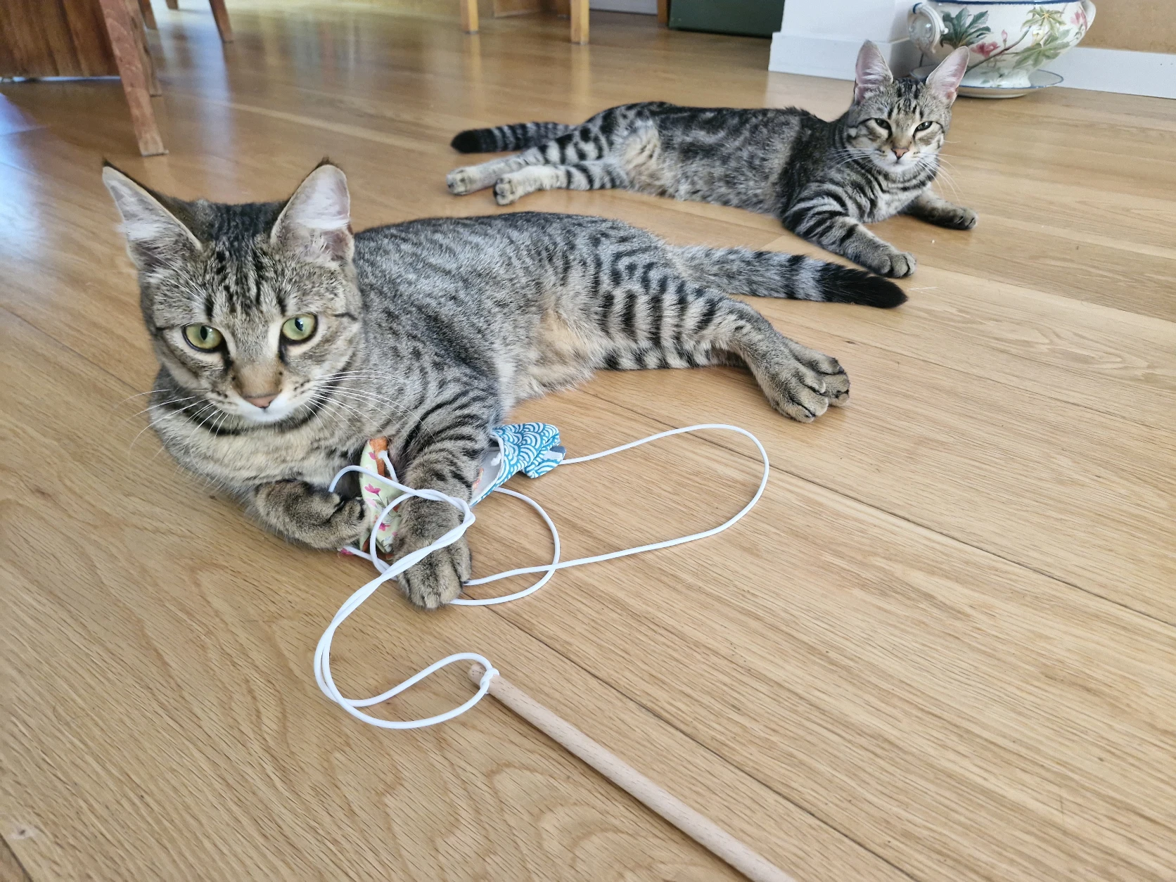 image-6