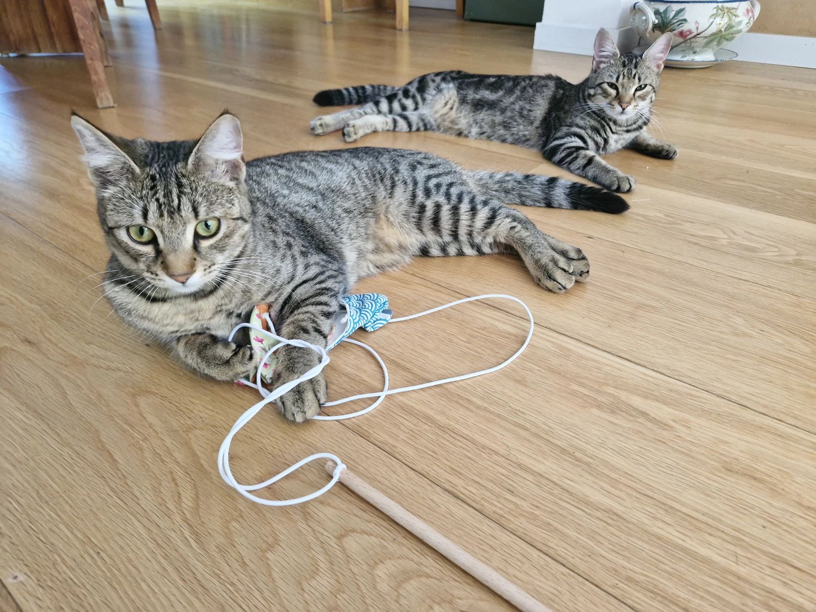 image-6