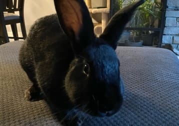 George