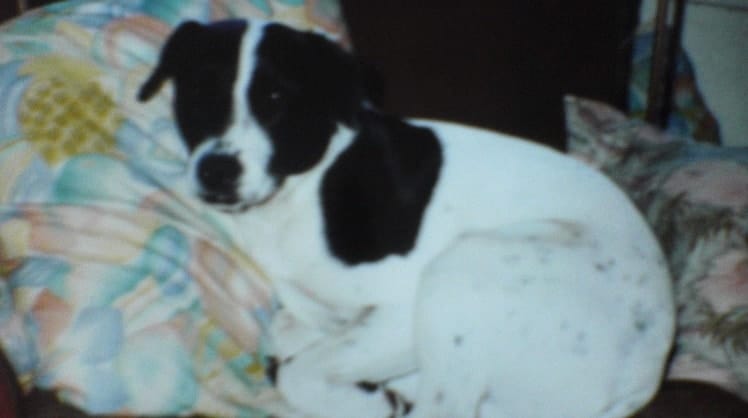image-6