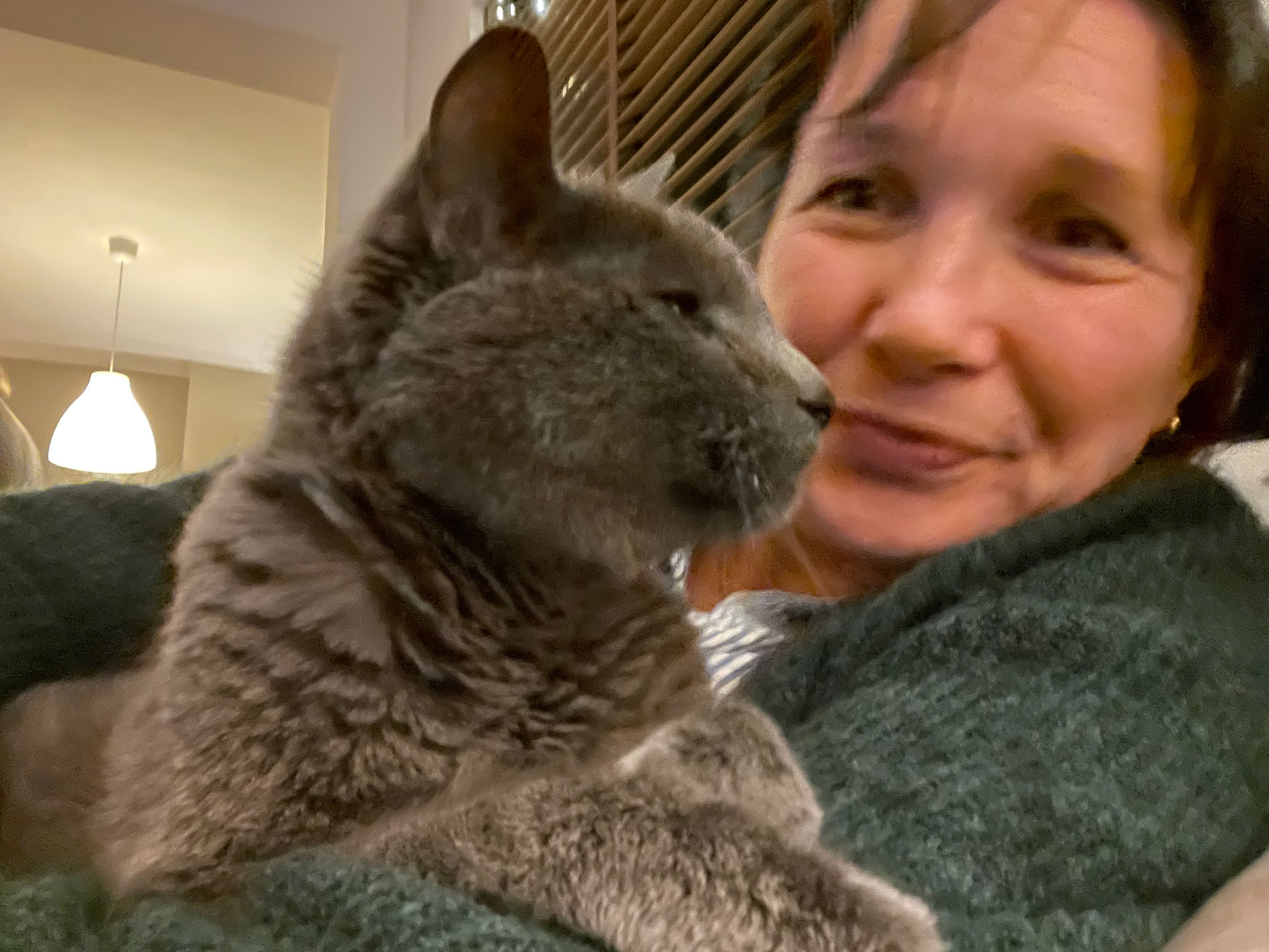 image-4