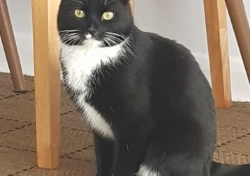 George 