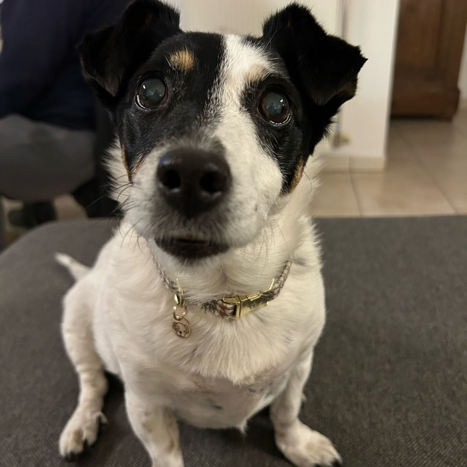 Lulu