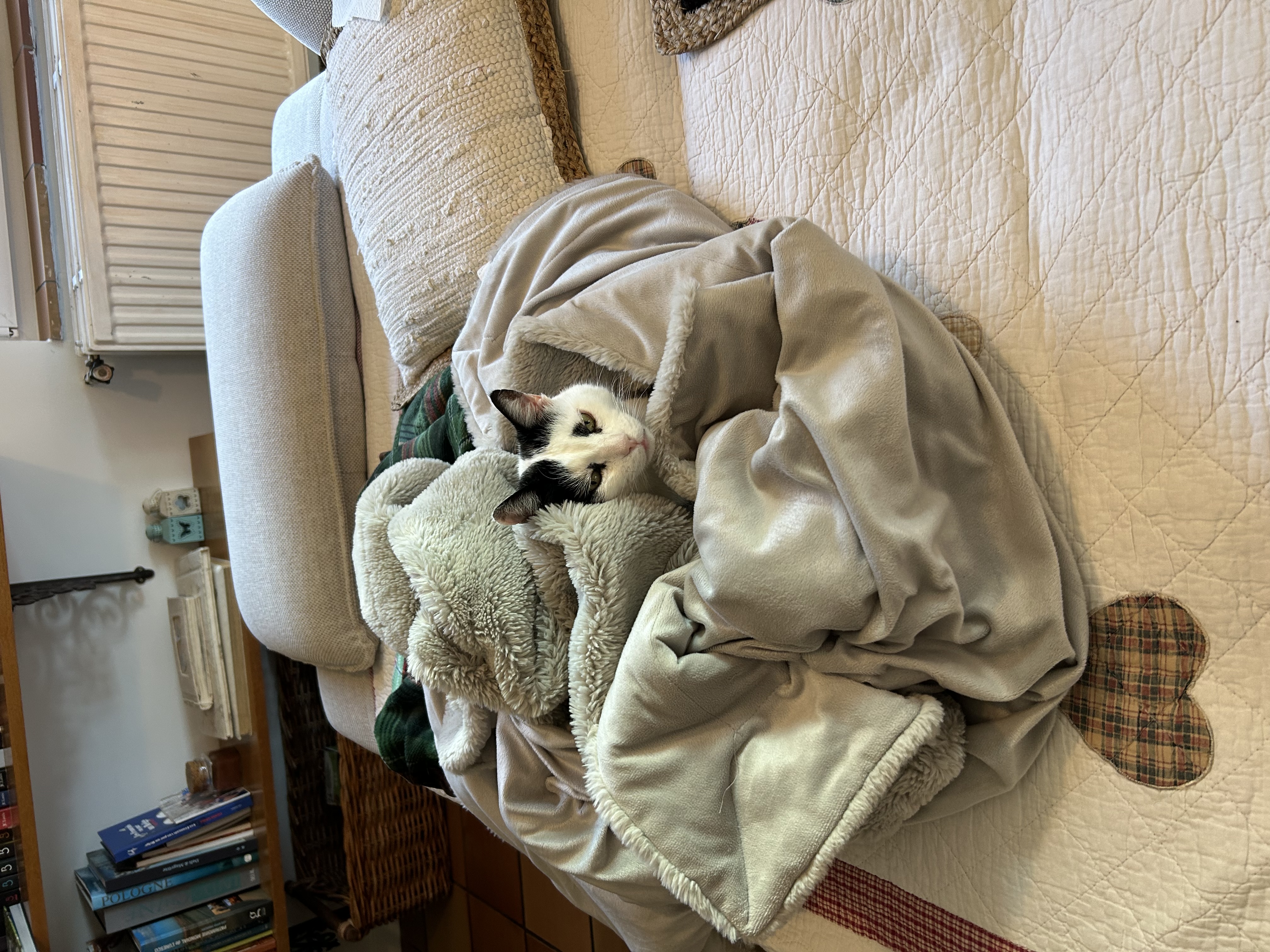 image-11