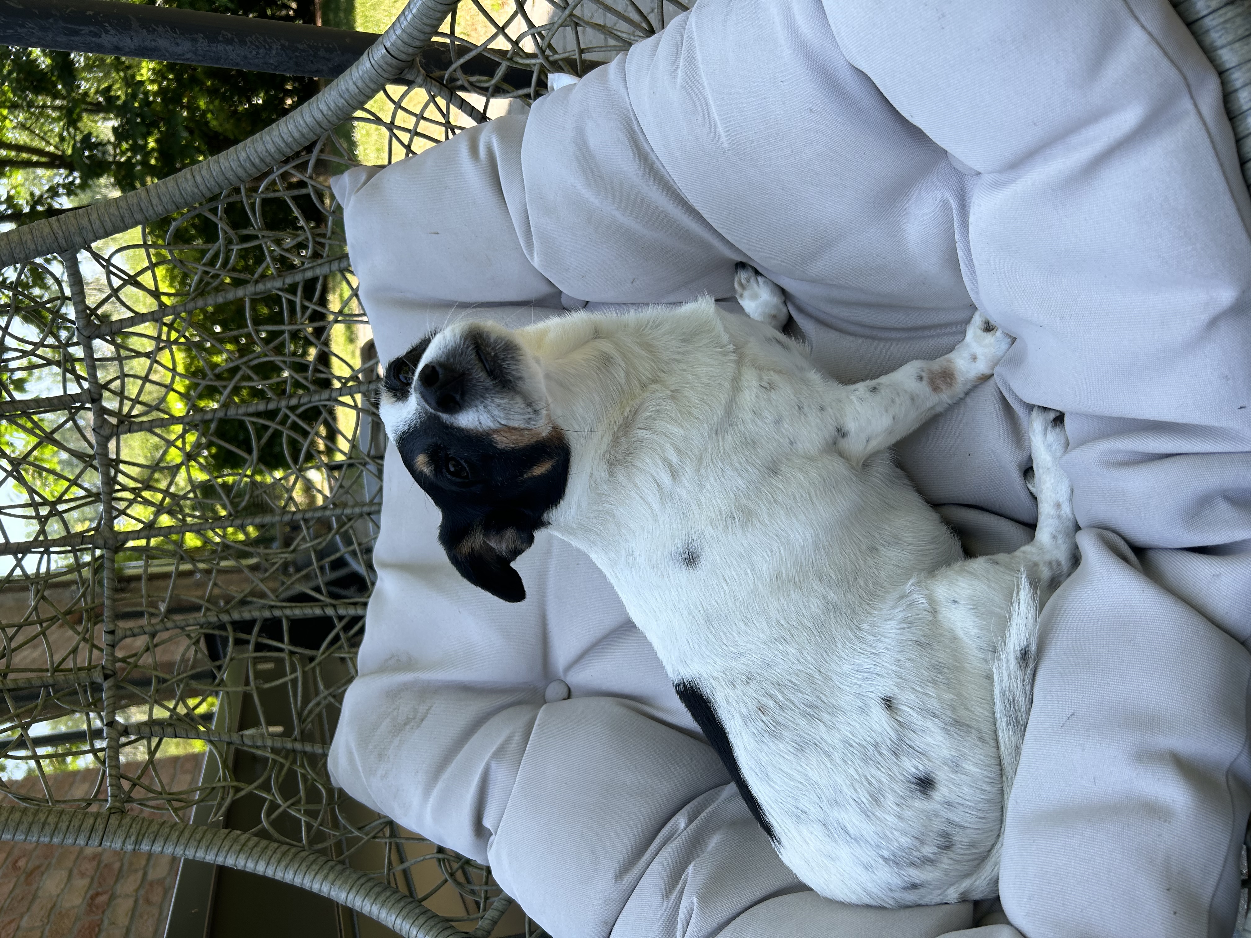 image-12