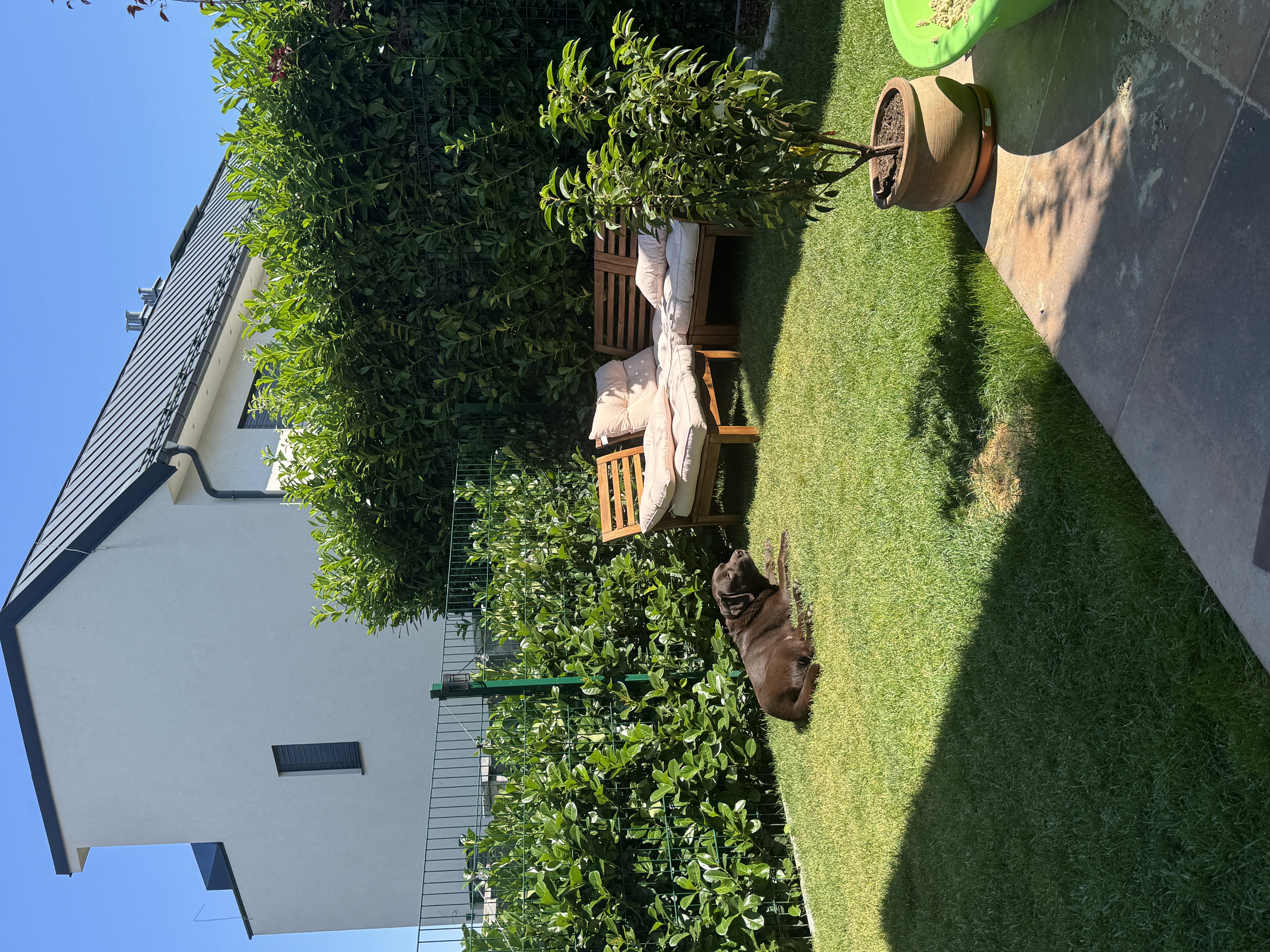 image-16