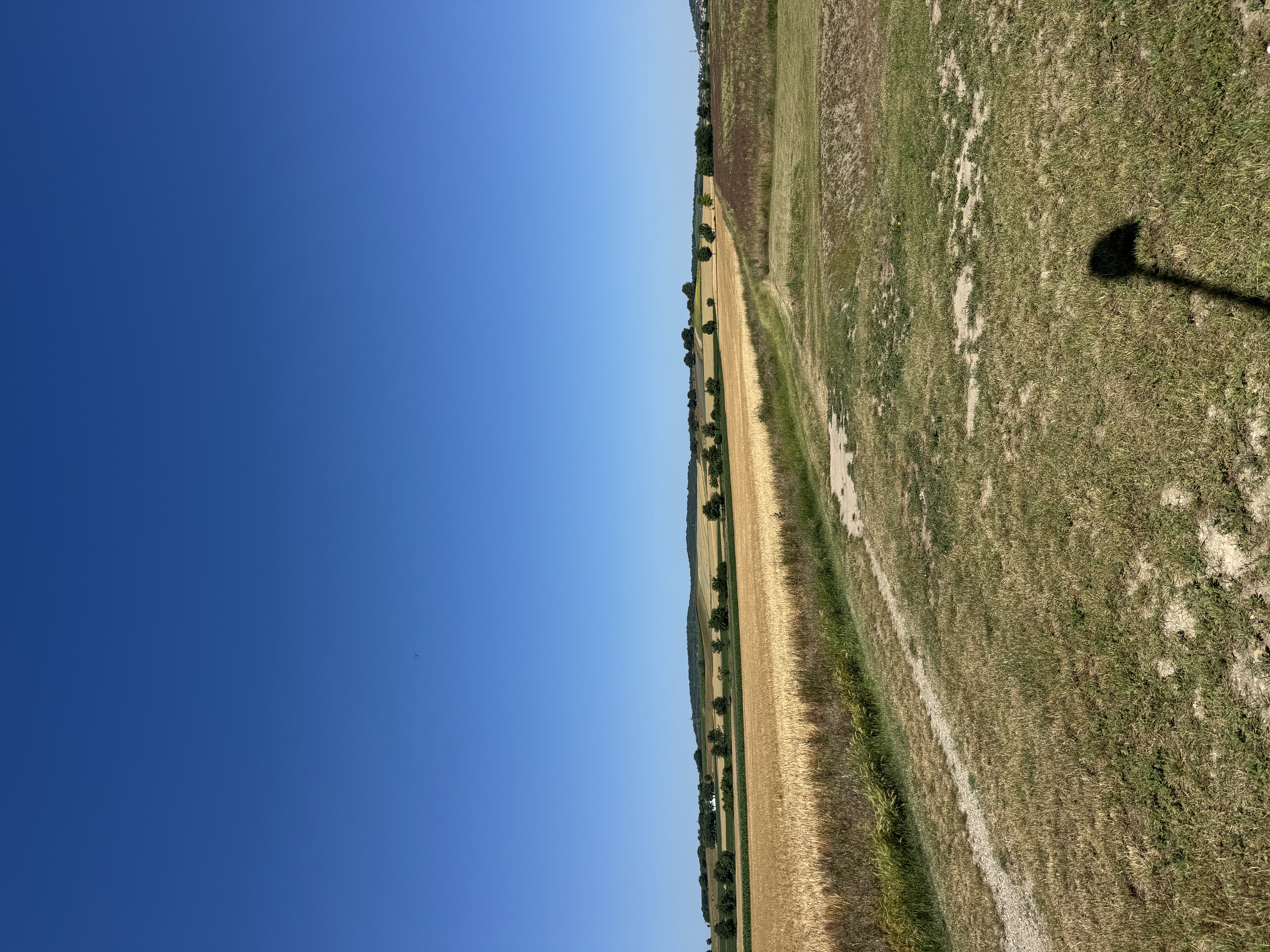image-17