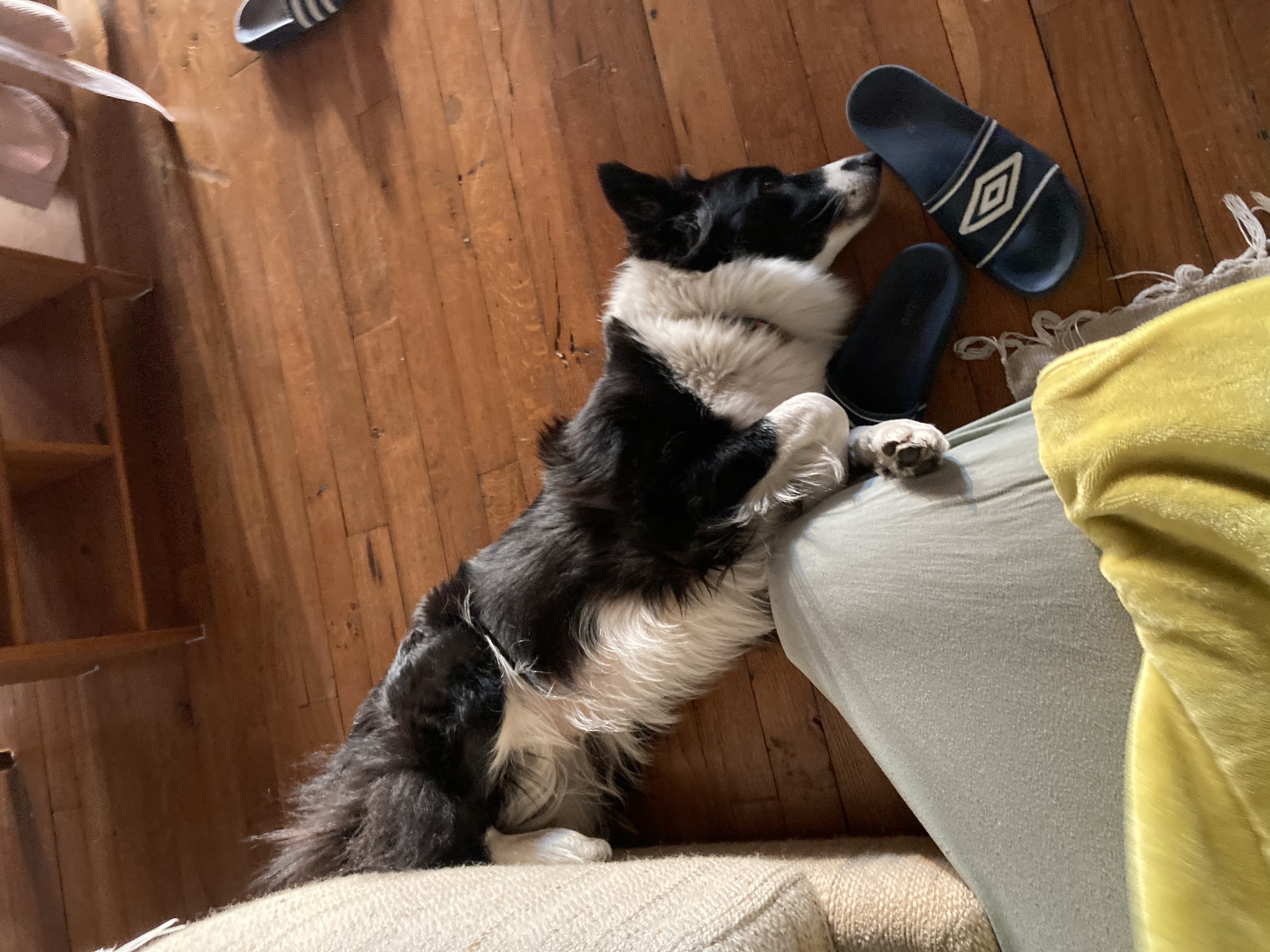 image-18