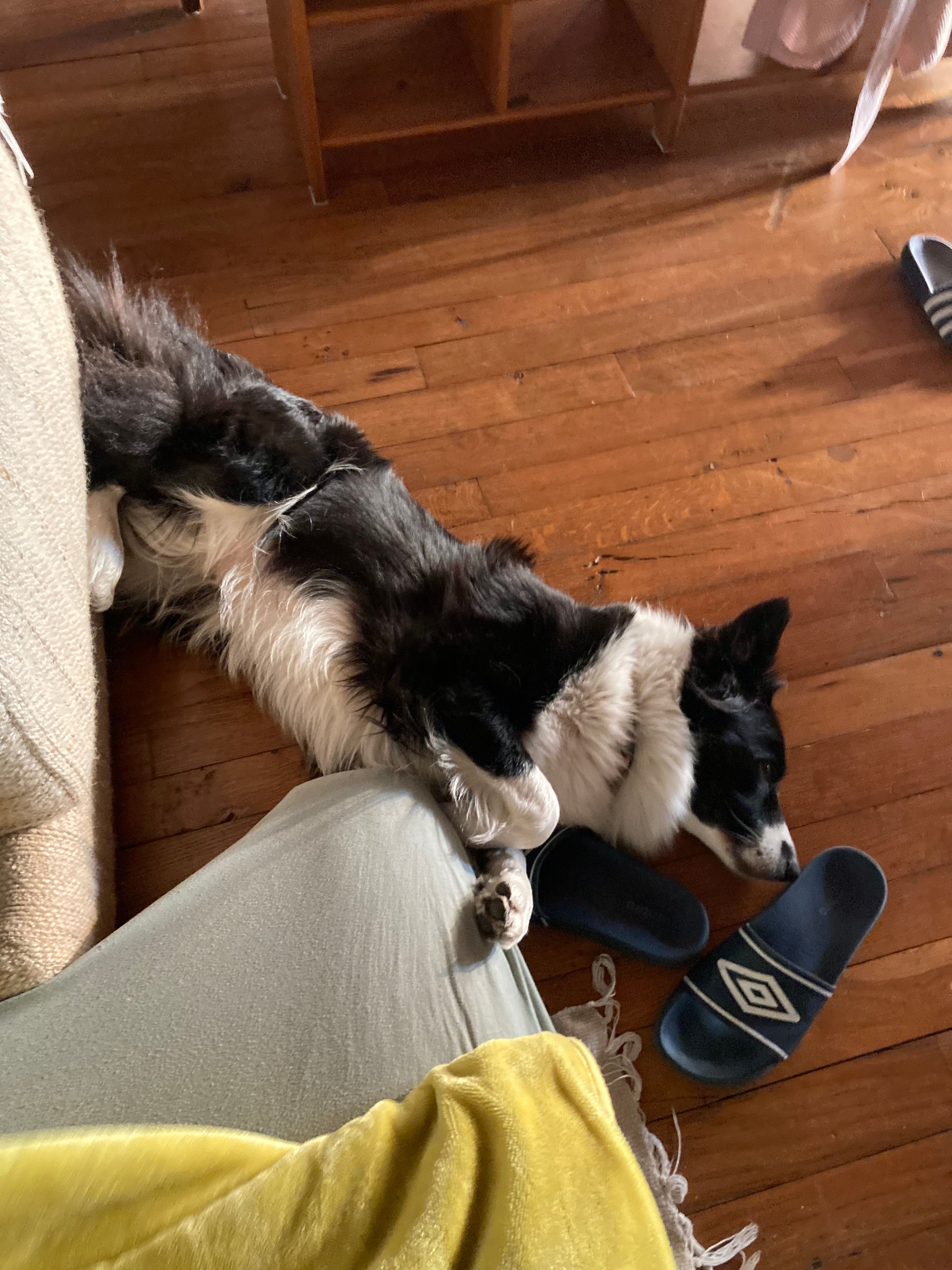 image-18