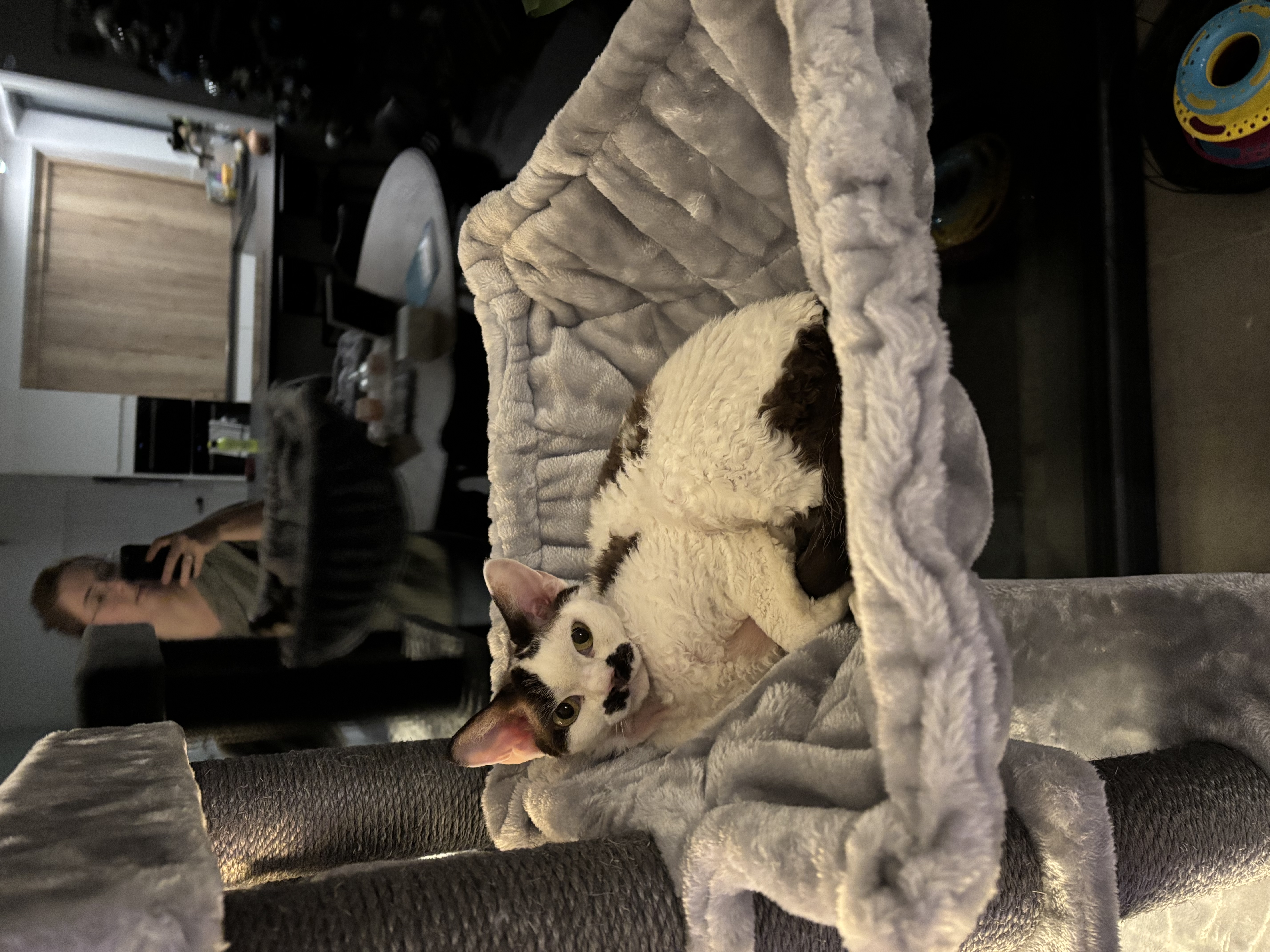 image-7