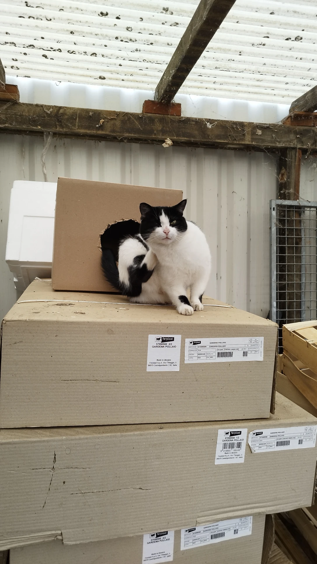image-9