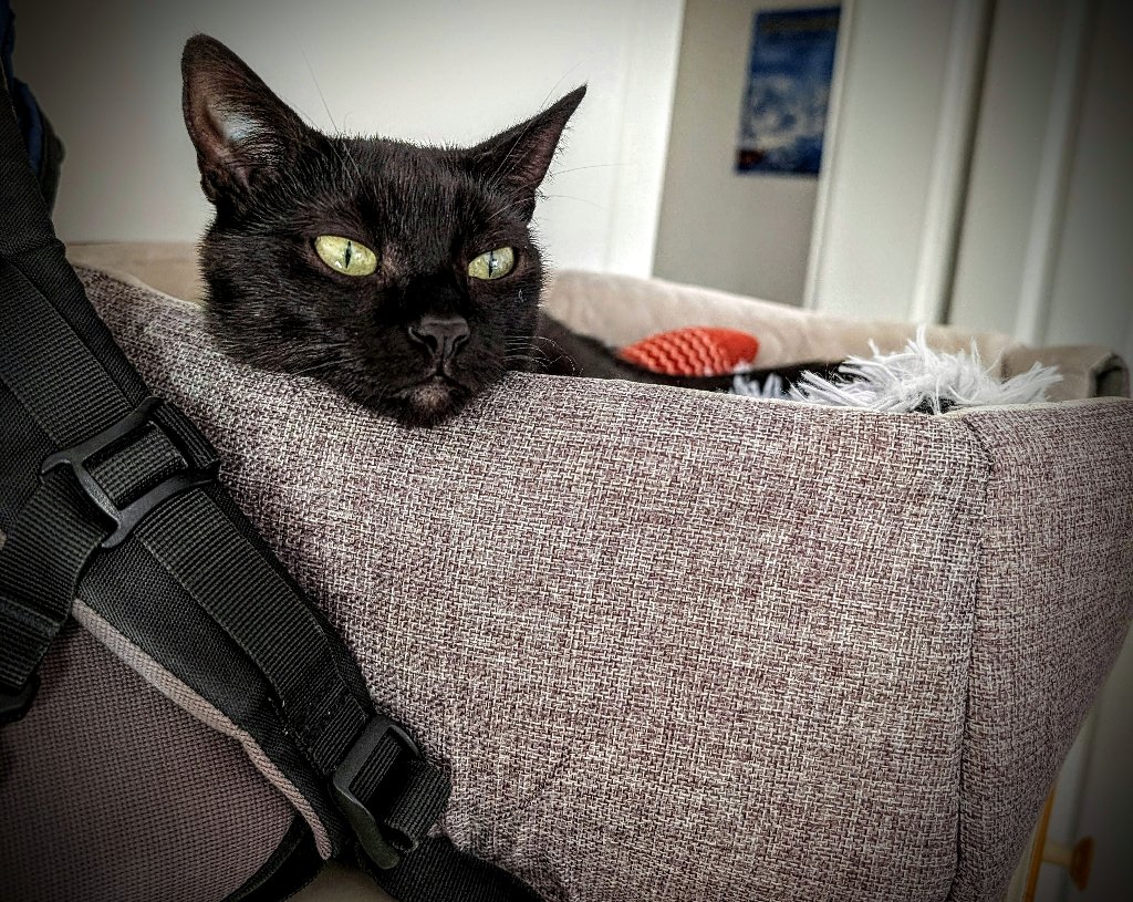 Simone