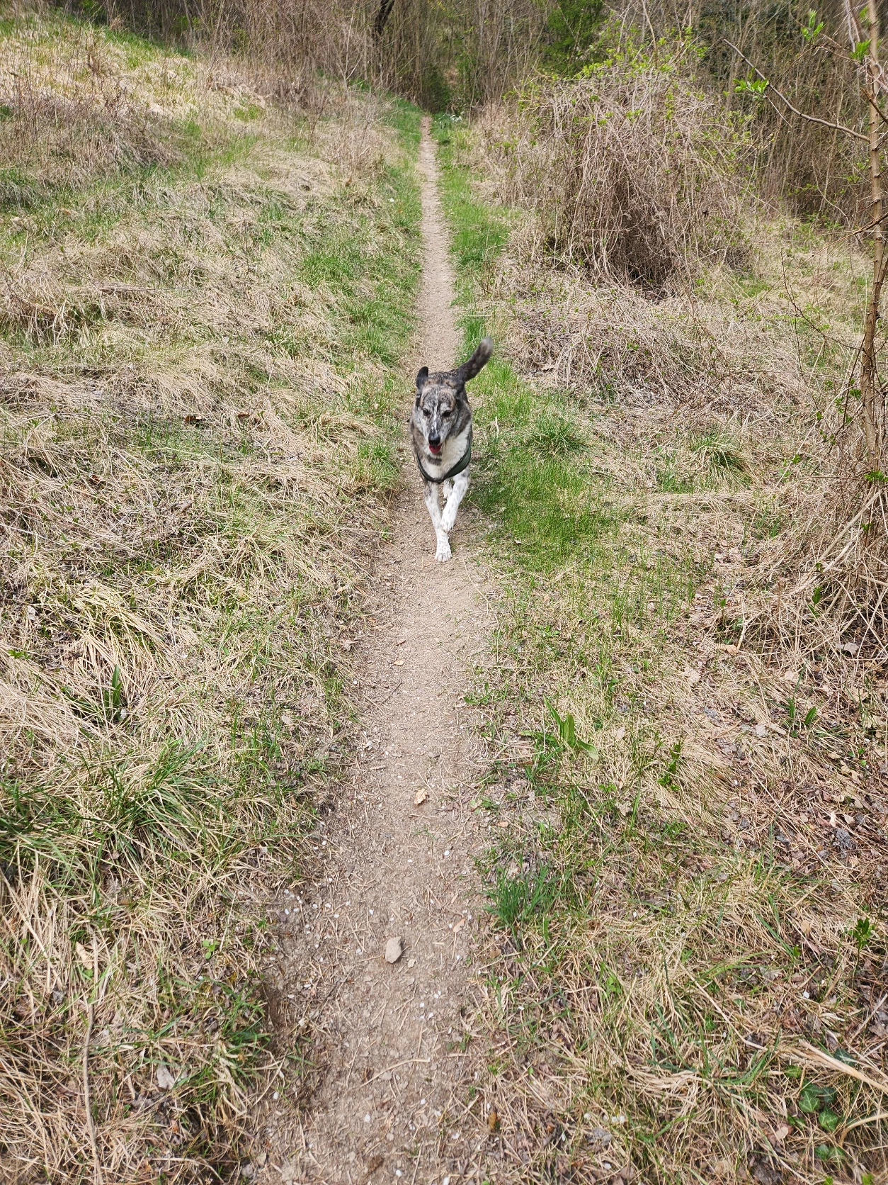 image-15