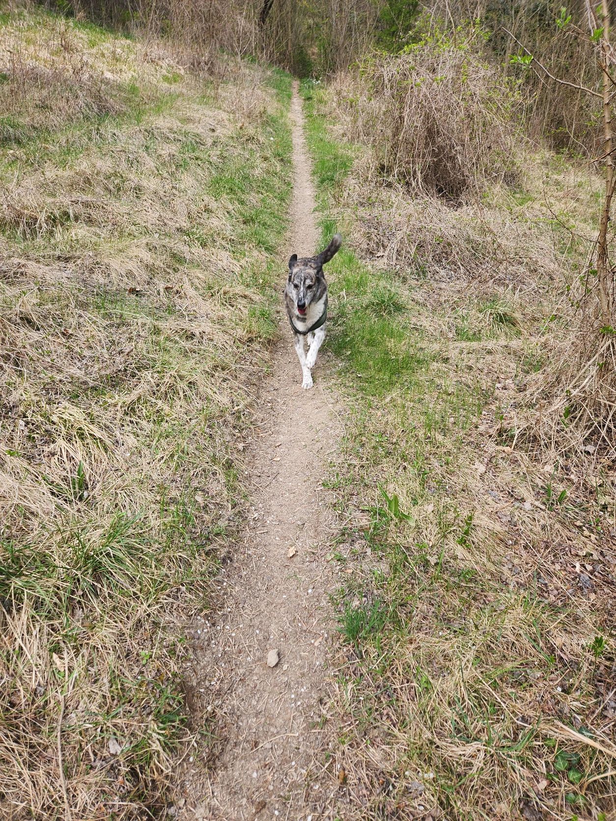 image-15