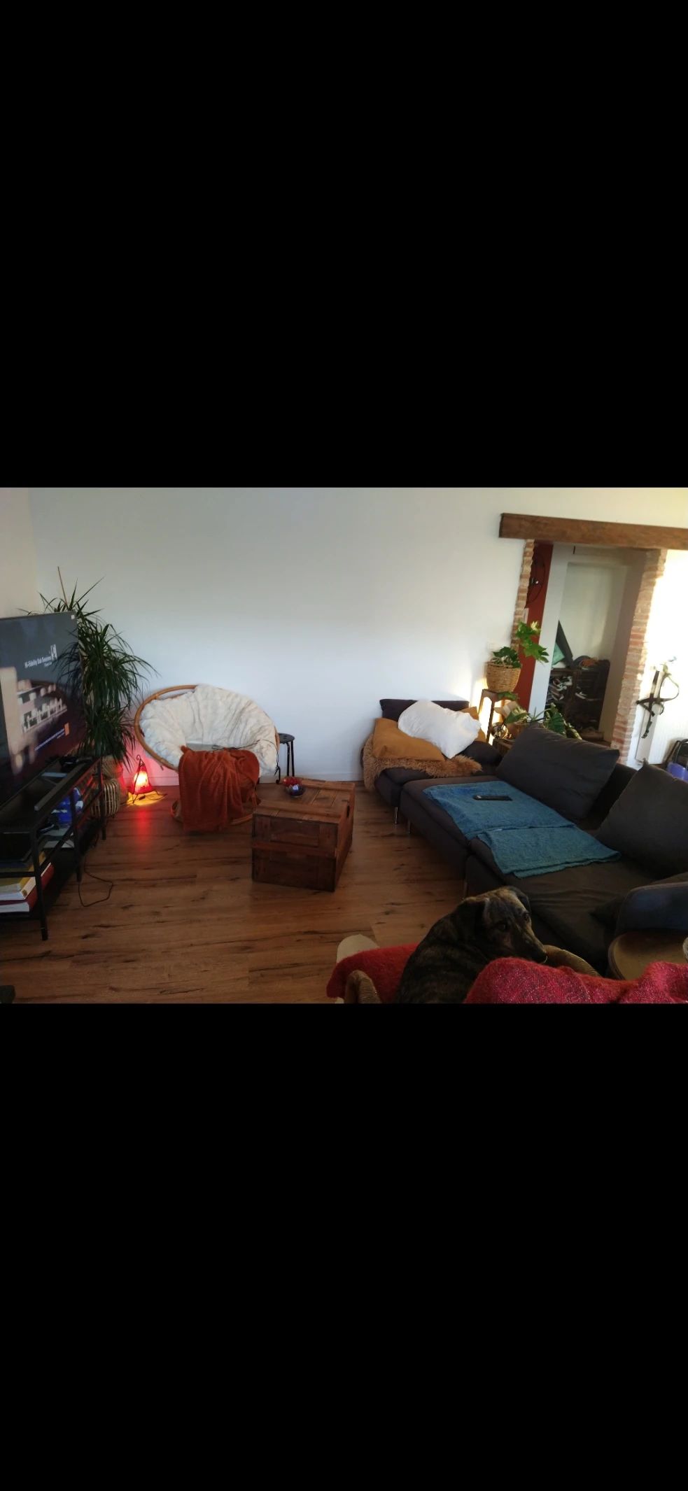 image-16