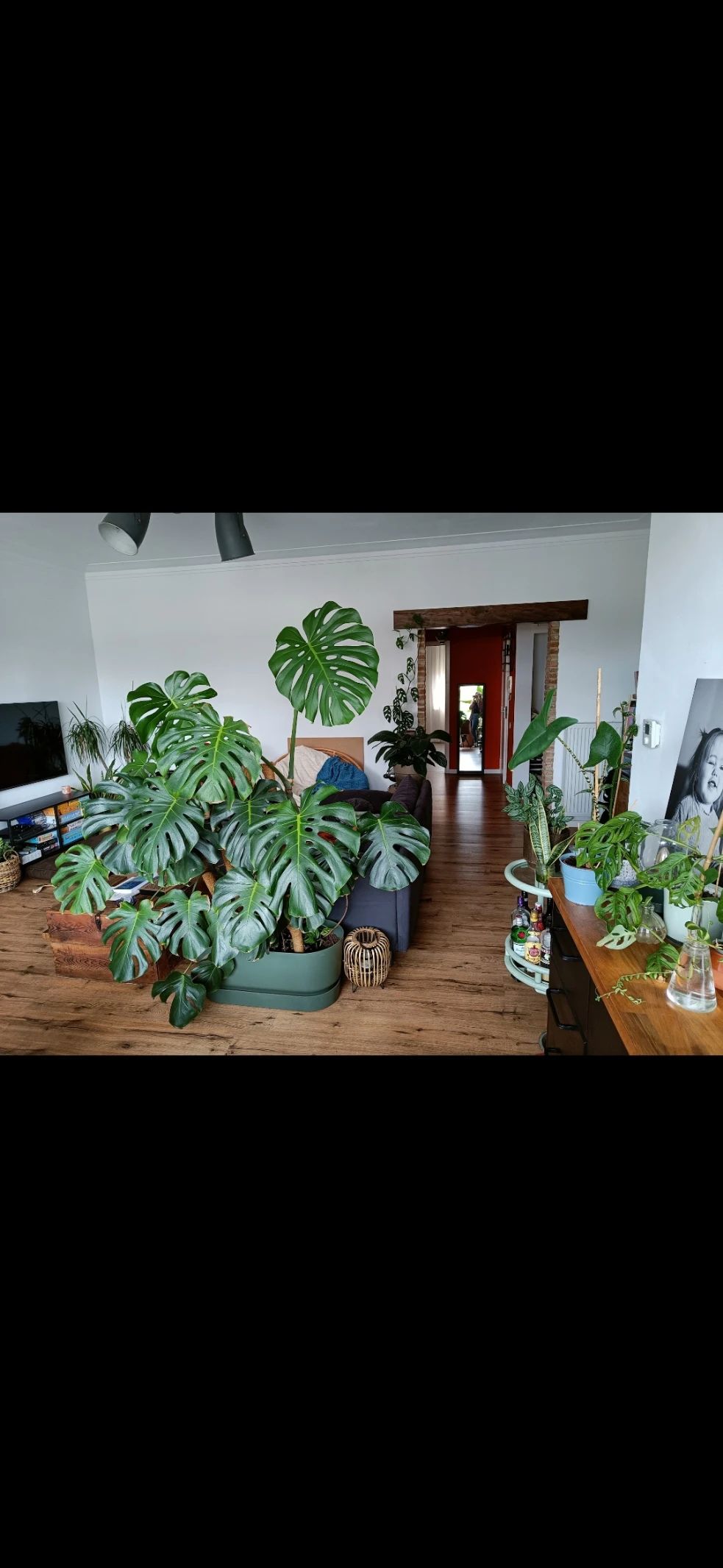 image-17