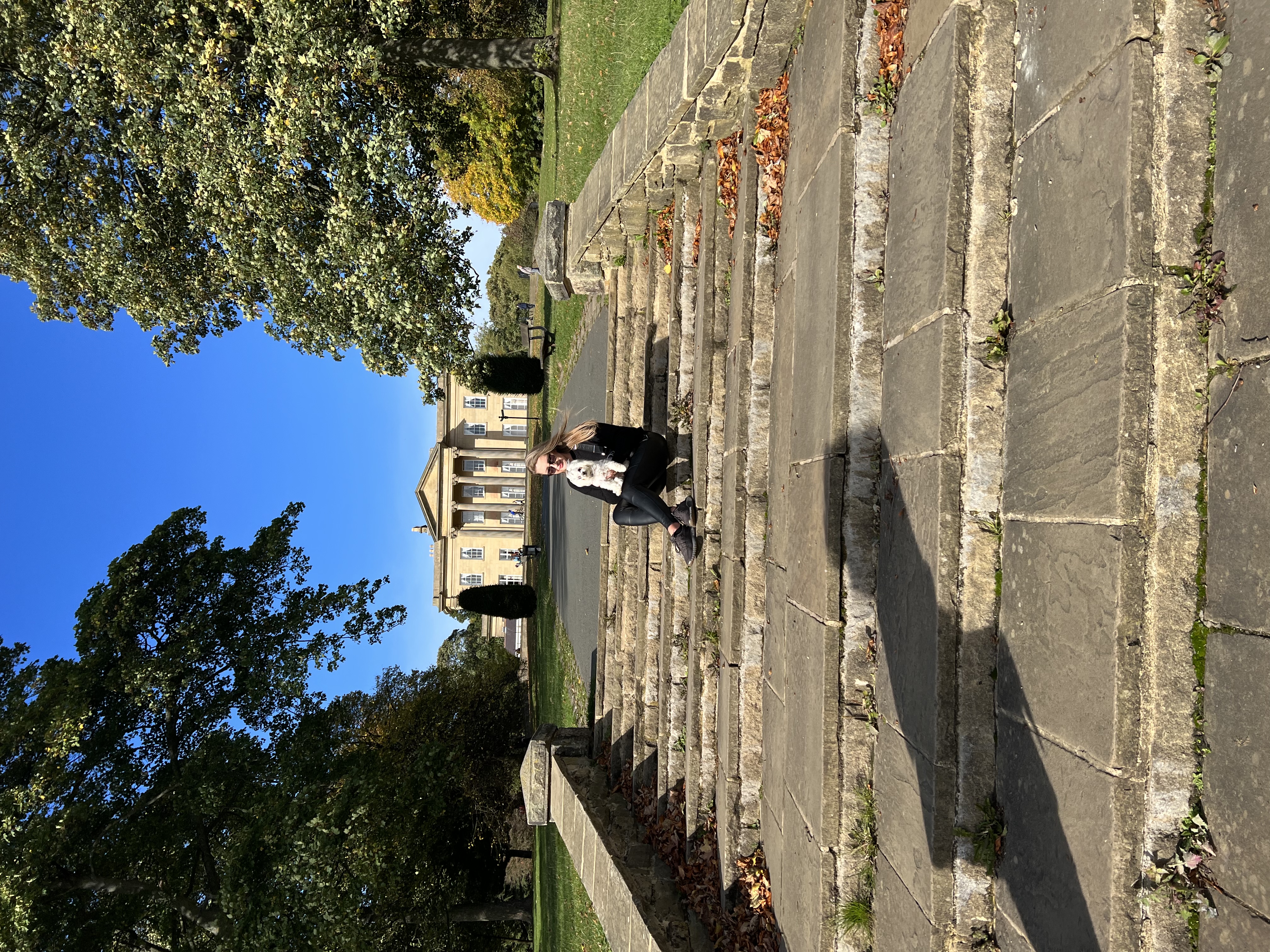 image-2