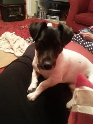image-2