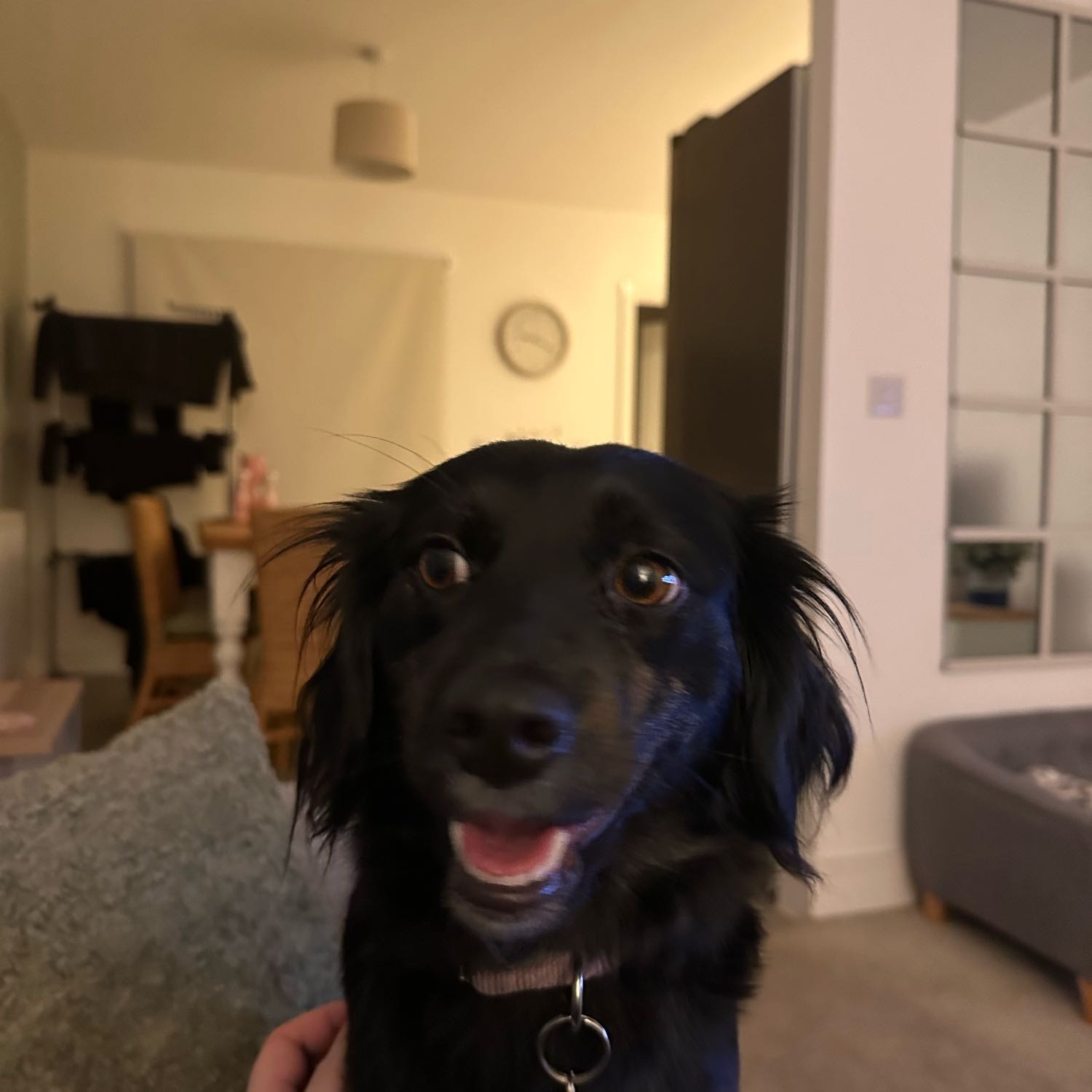 Winnie 