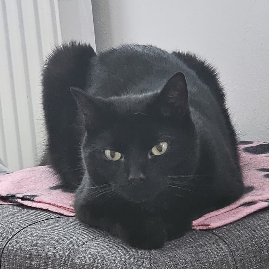 Max