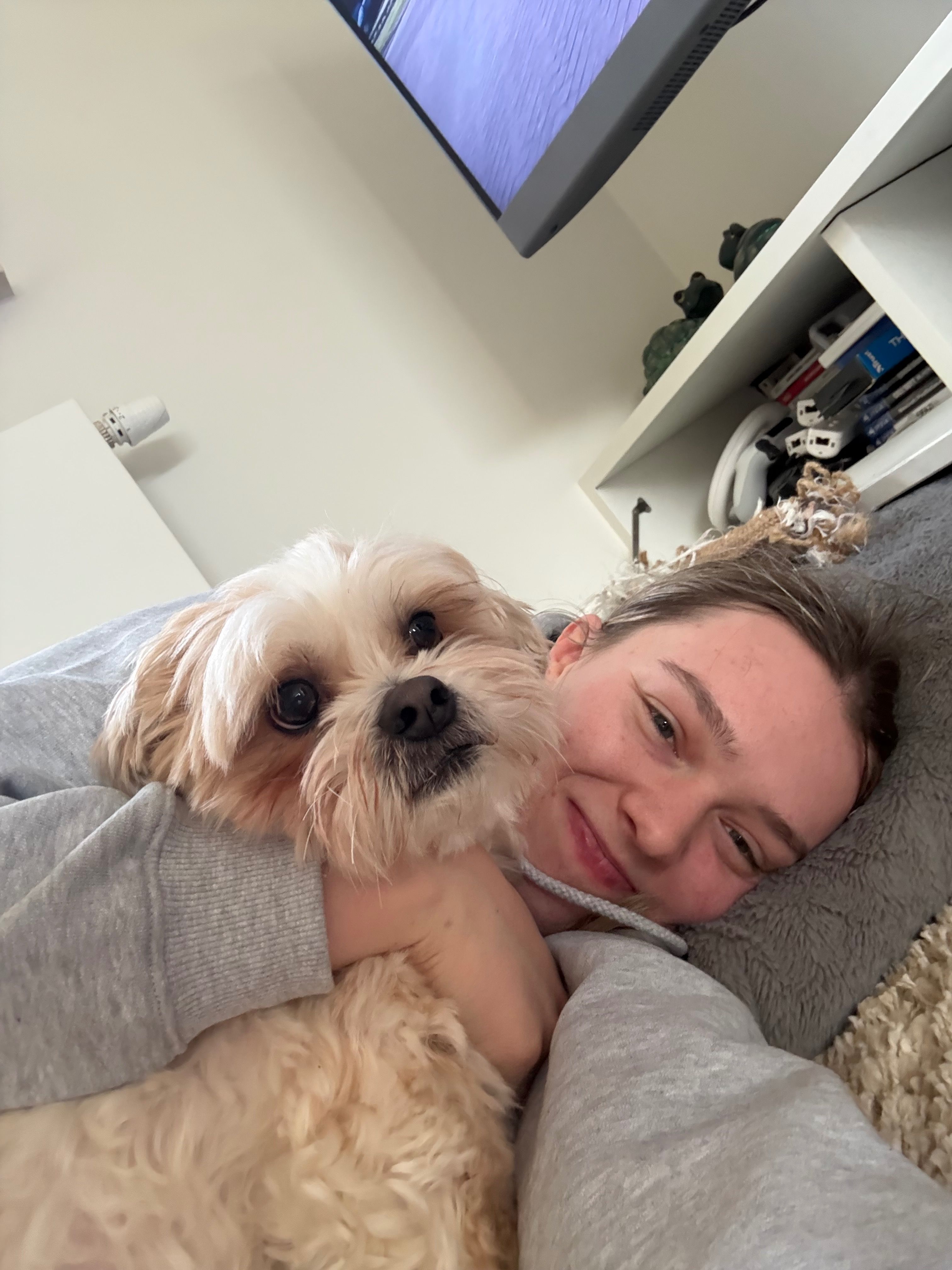 image-6