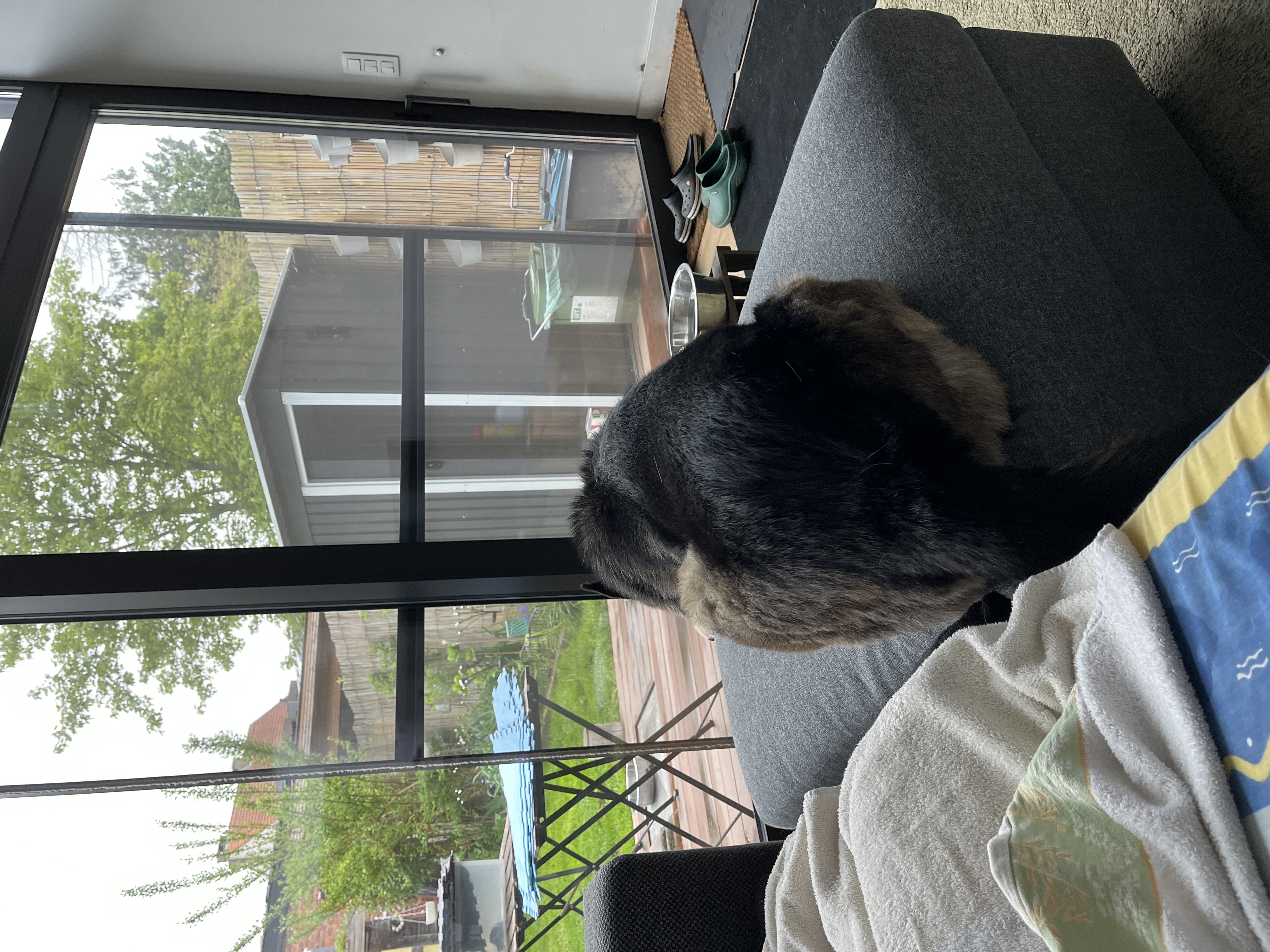 image-16