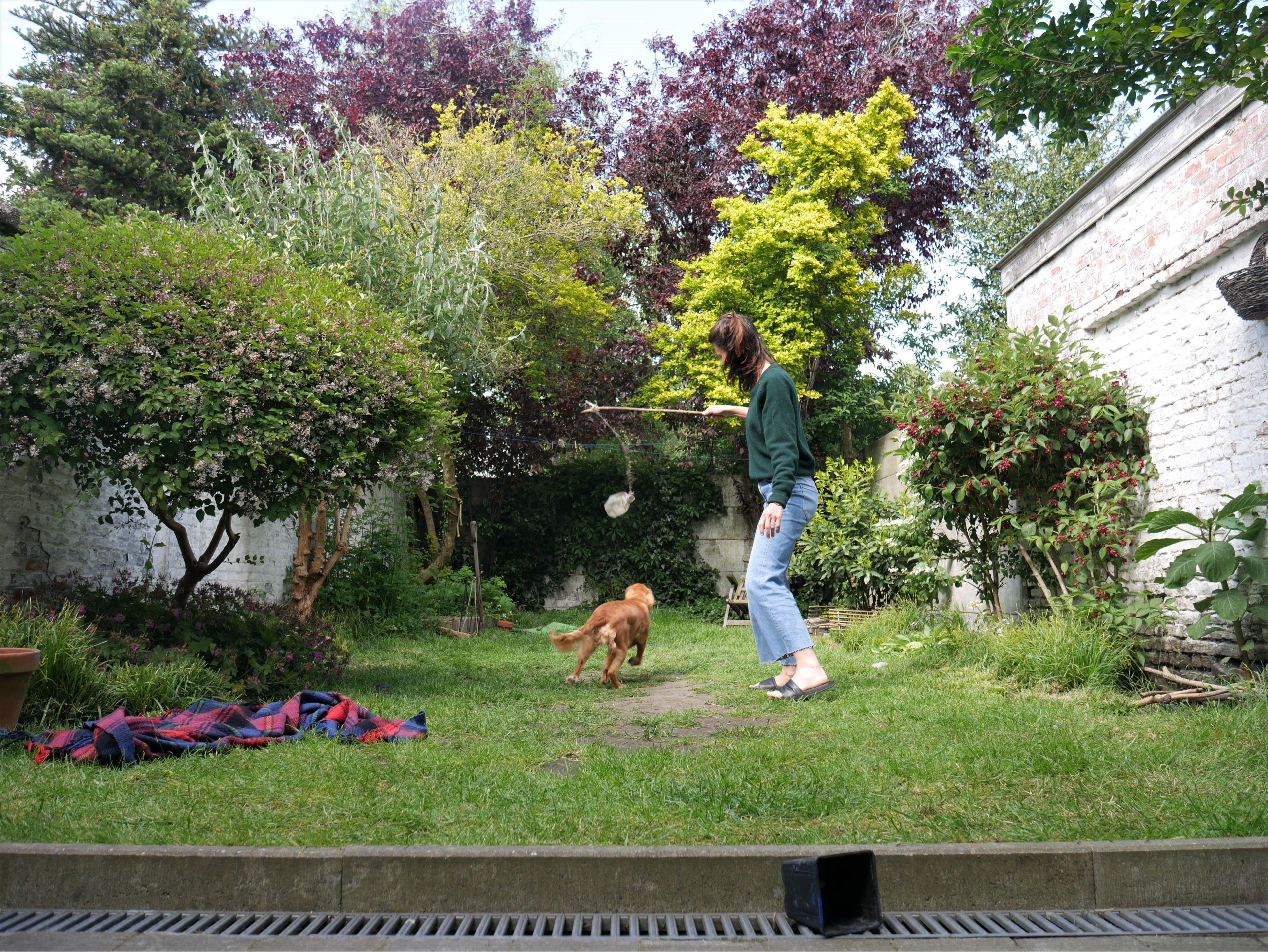 image-2