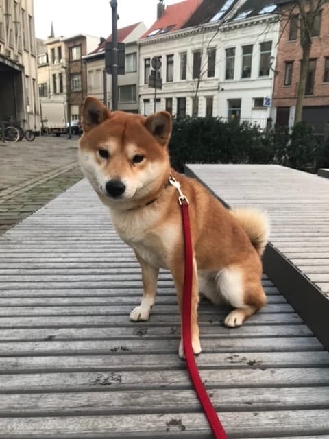 image-6