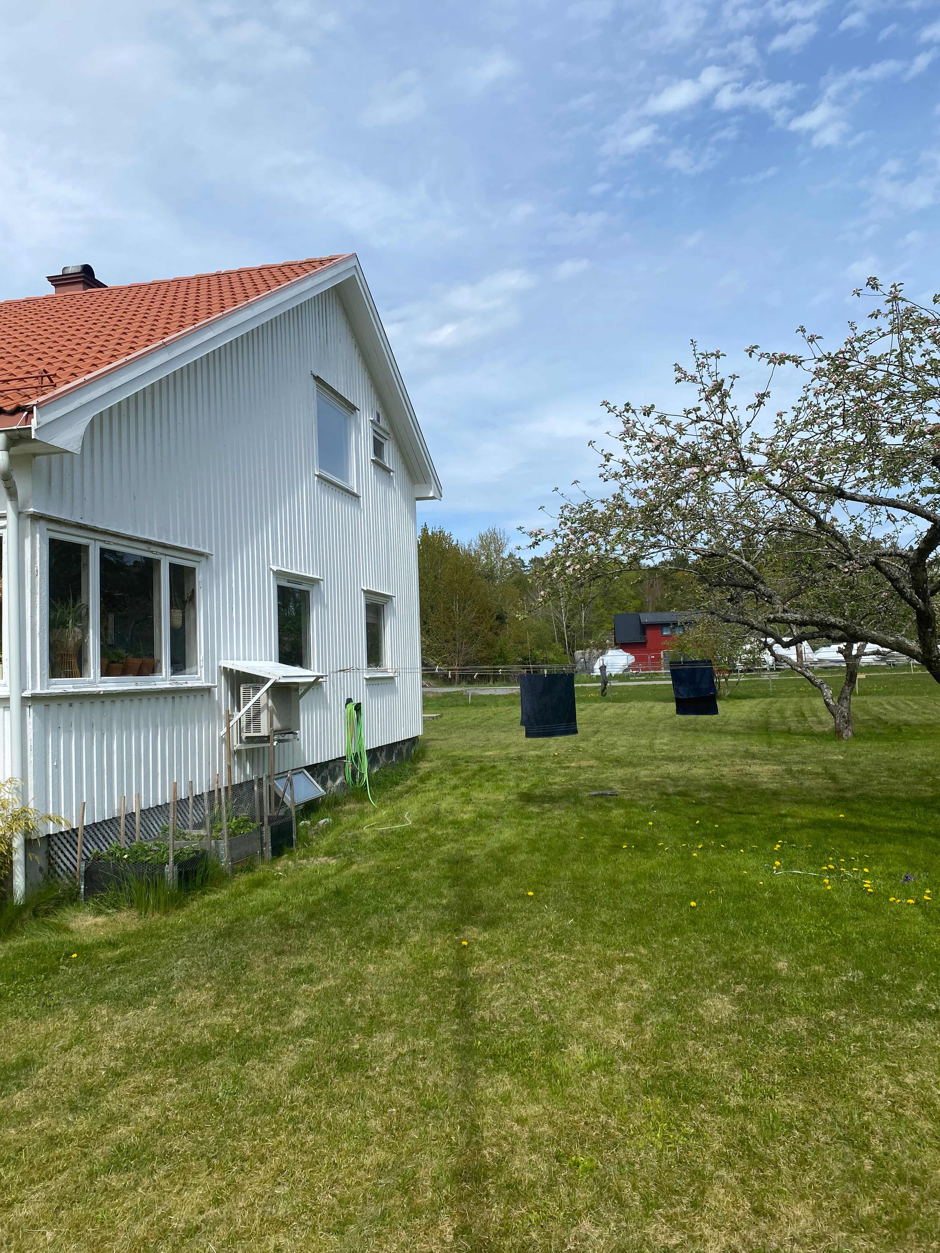 image-21