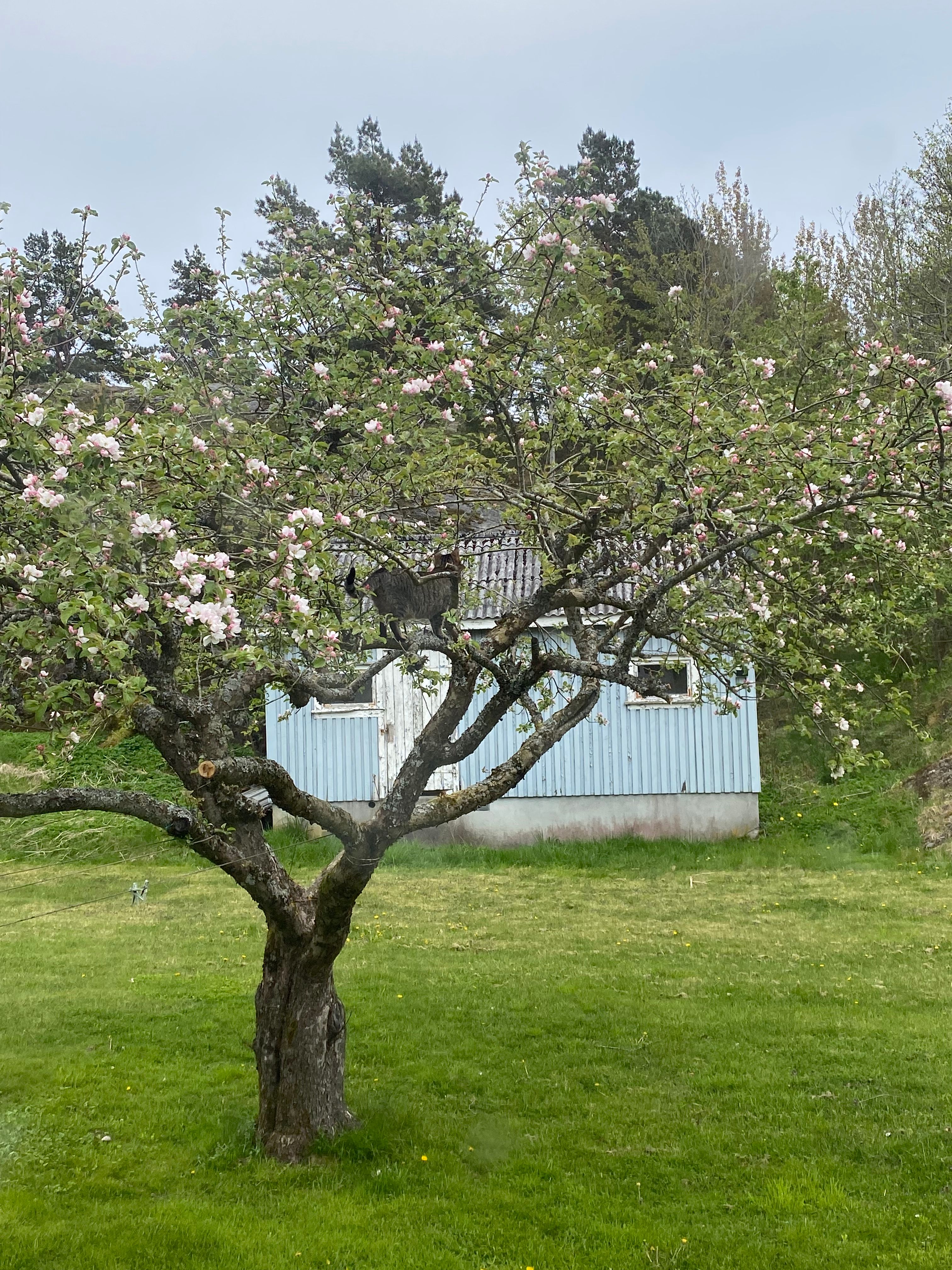 image-19