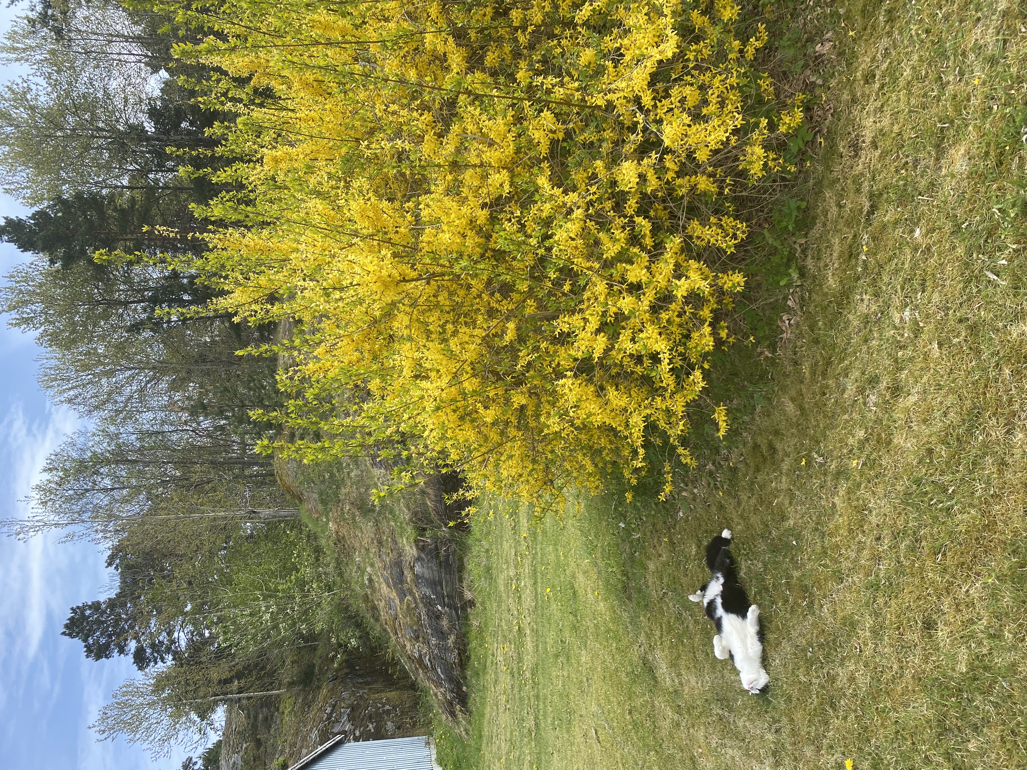 image-22