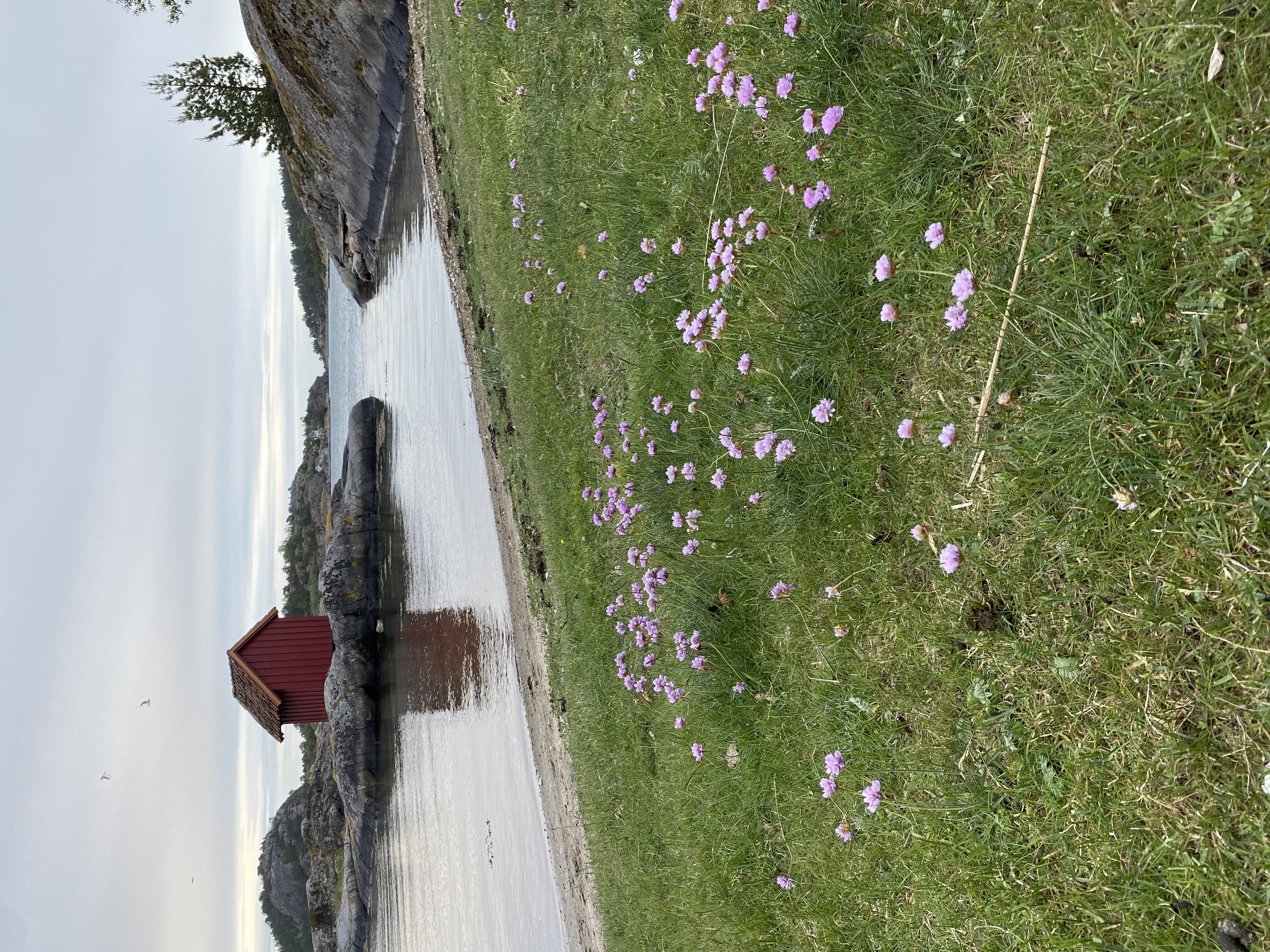 image-17