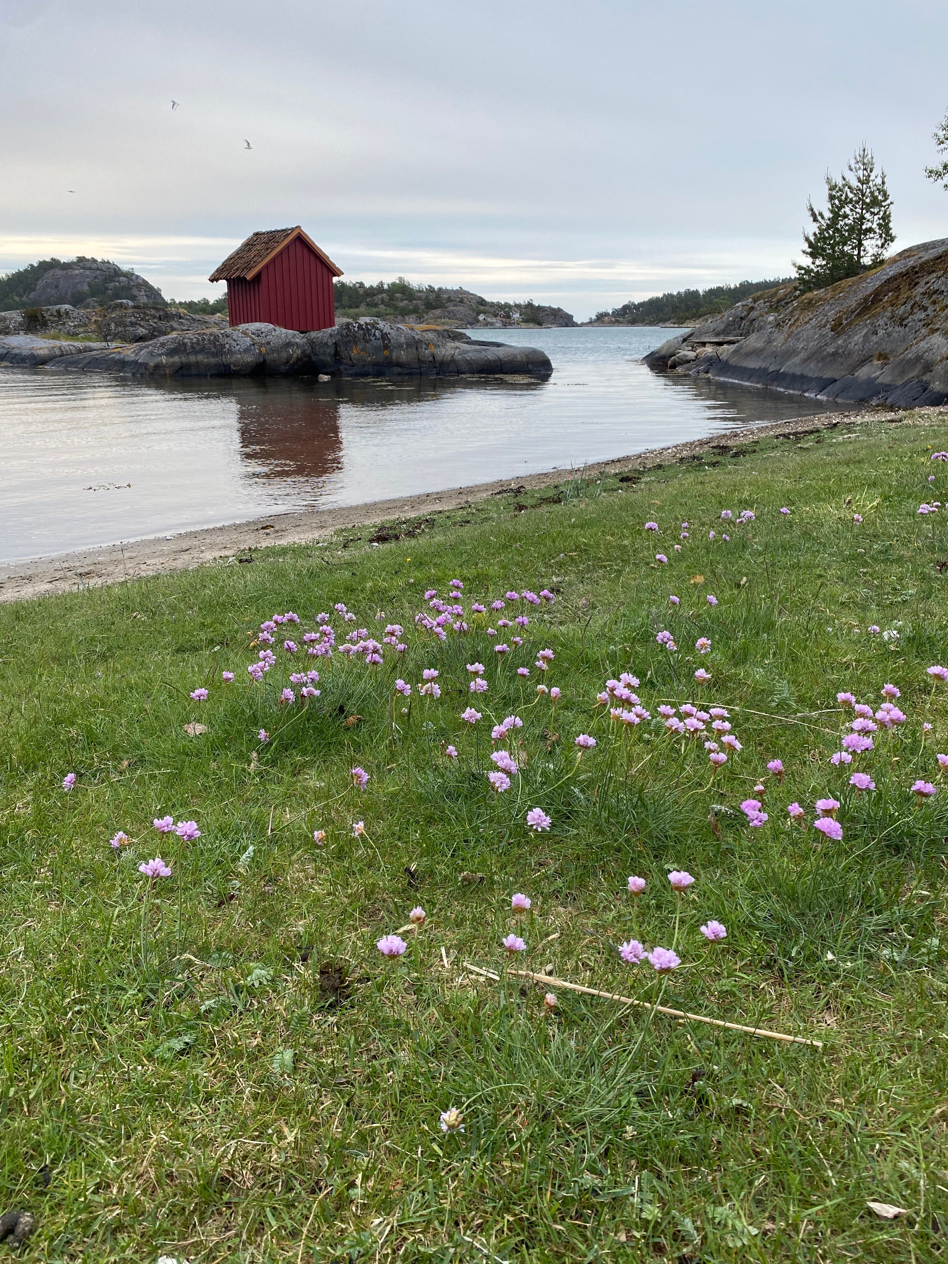 image-17