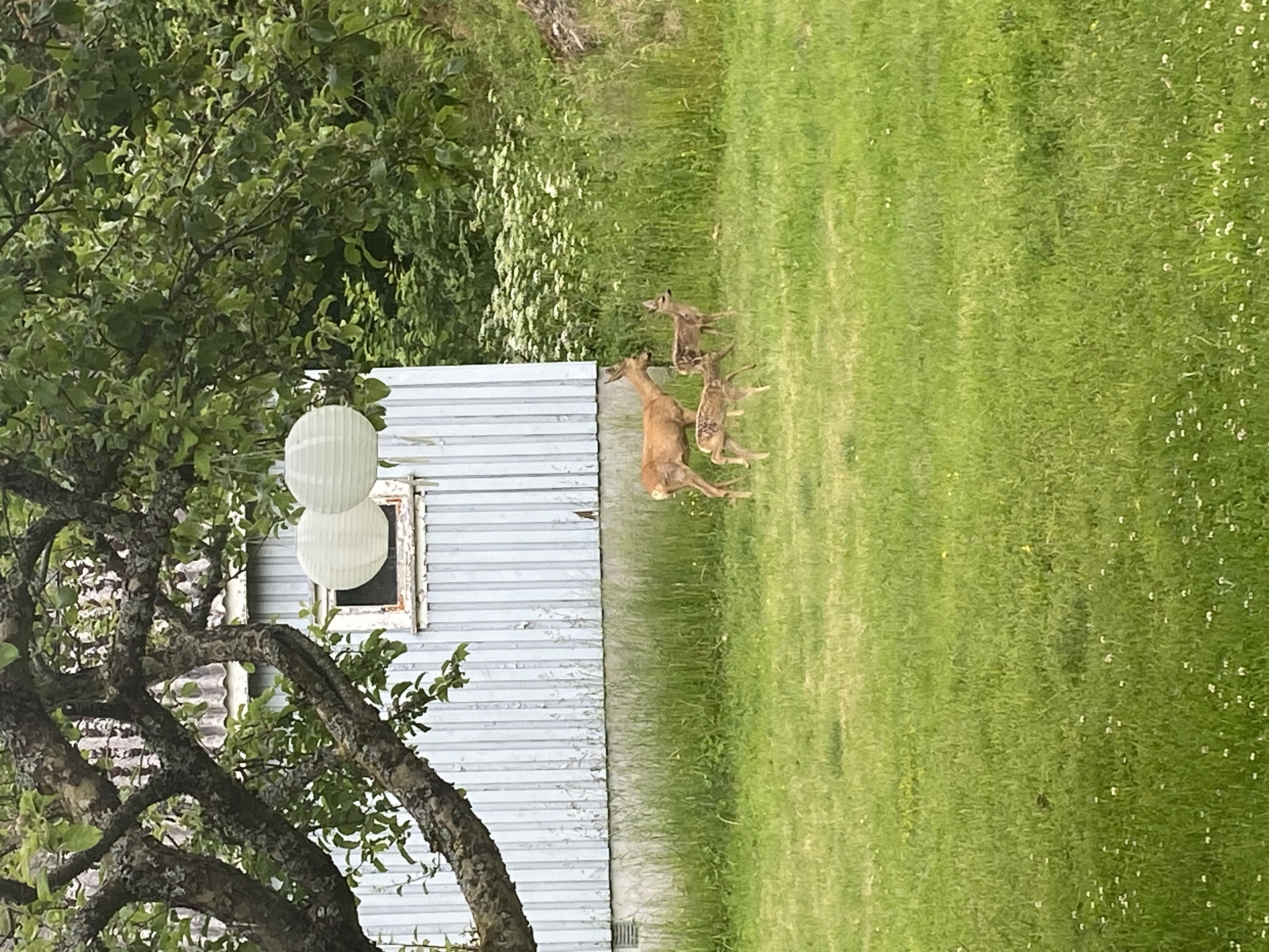 image-16