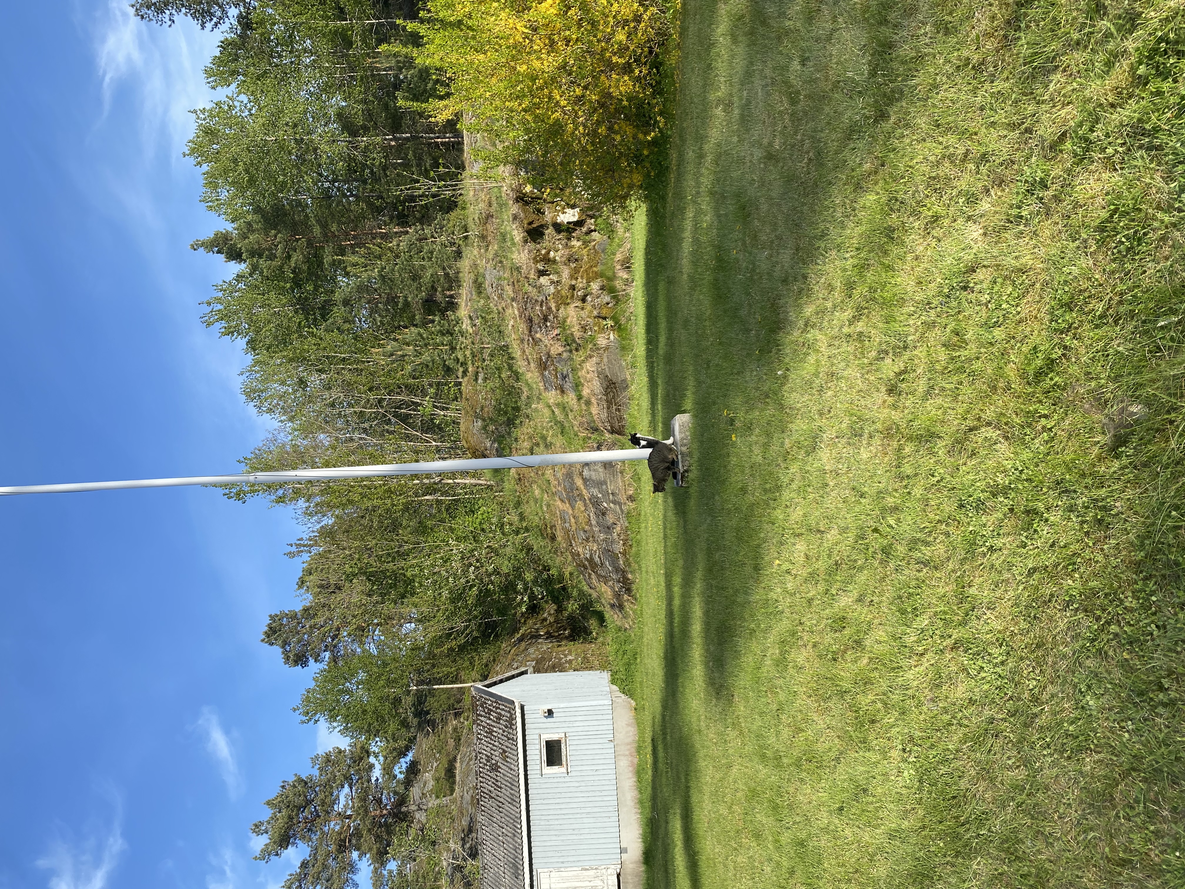 image-18
