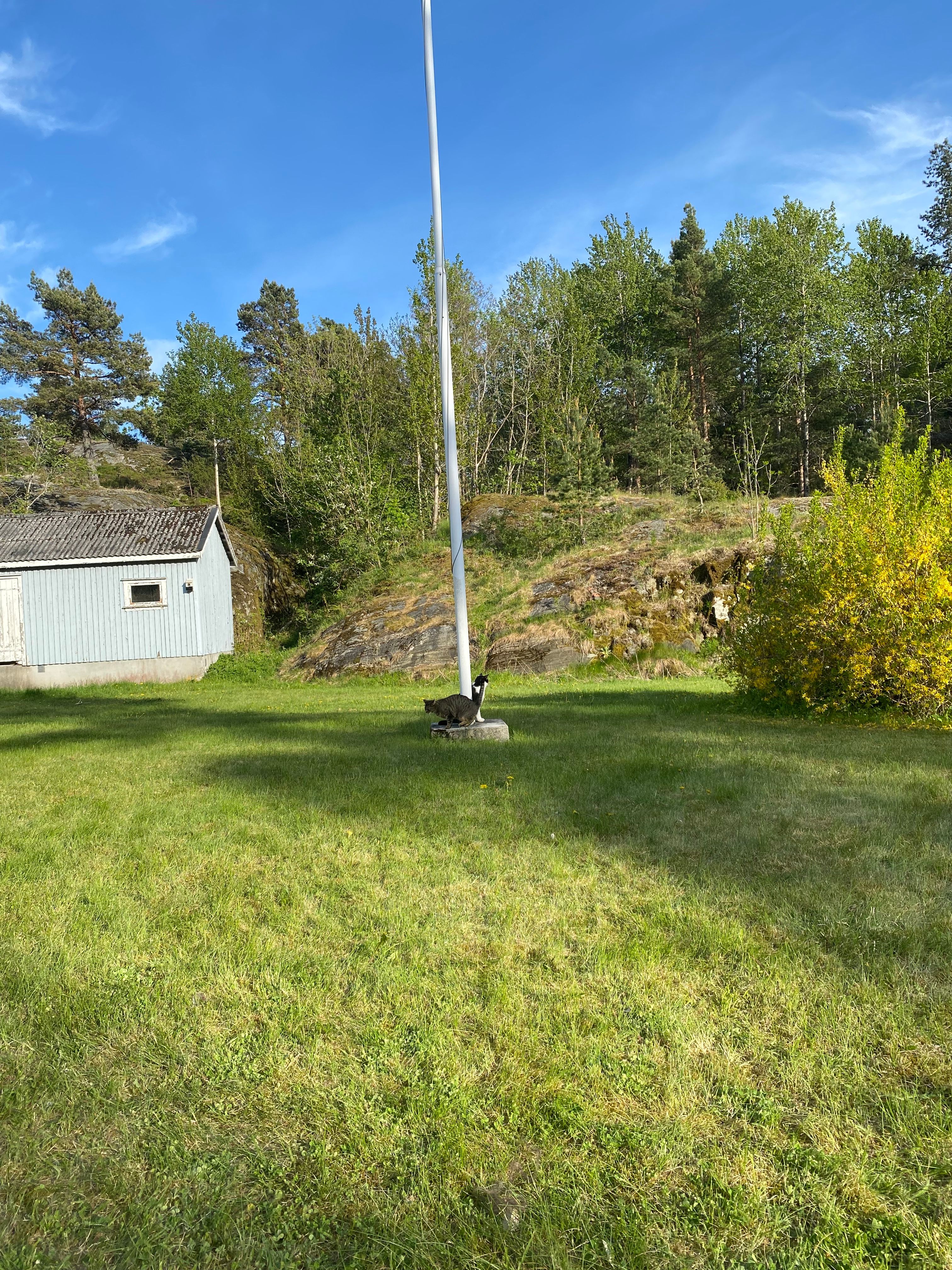 image-18