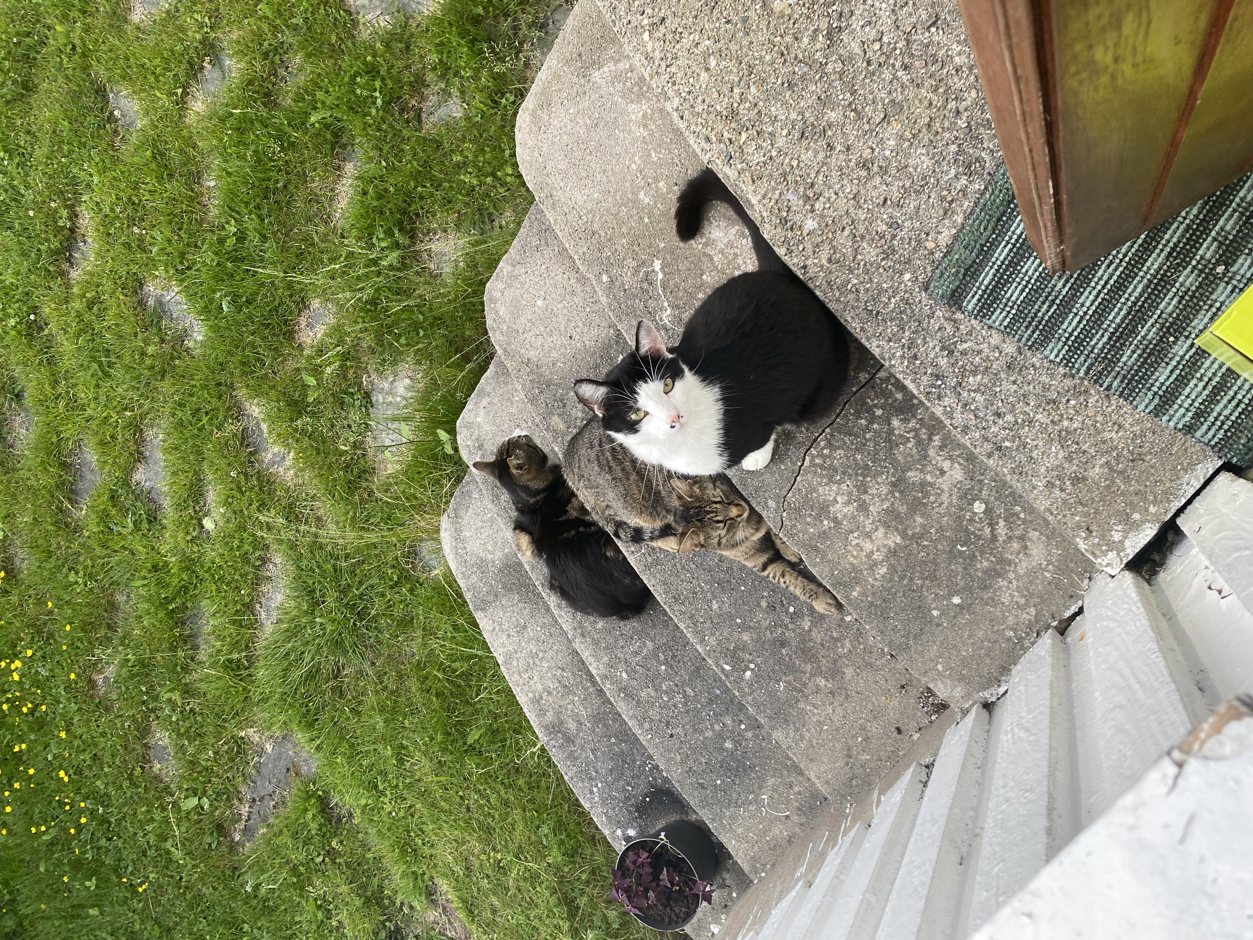 image-1
